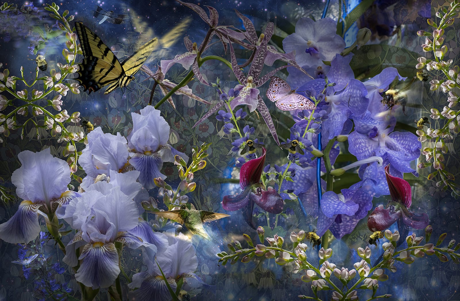 Lisa A. Frank, These are the Flowers that Seek the Skies..., 2020