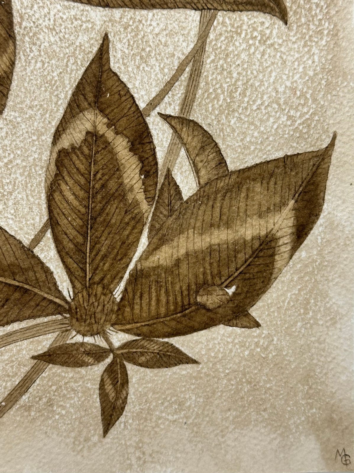 Margot Glass, Red Clover, 2024