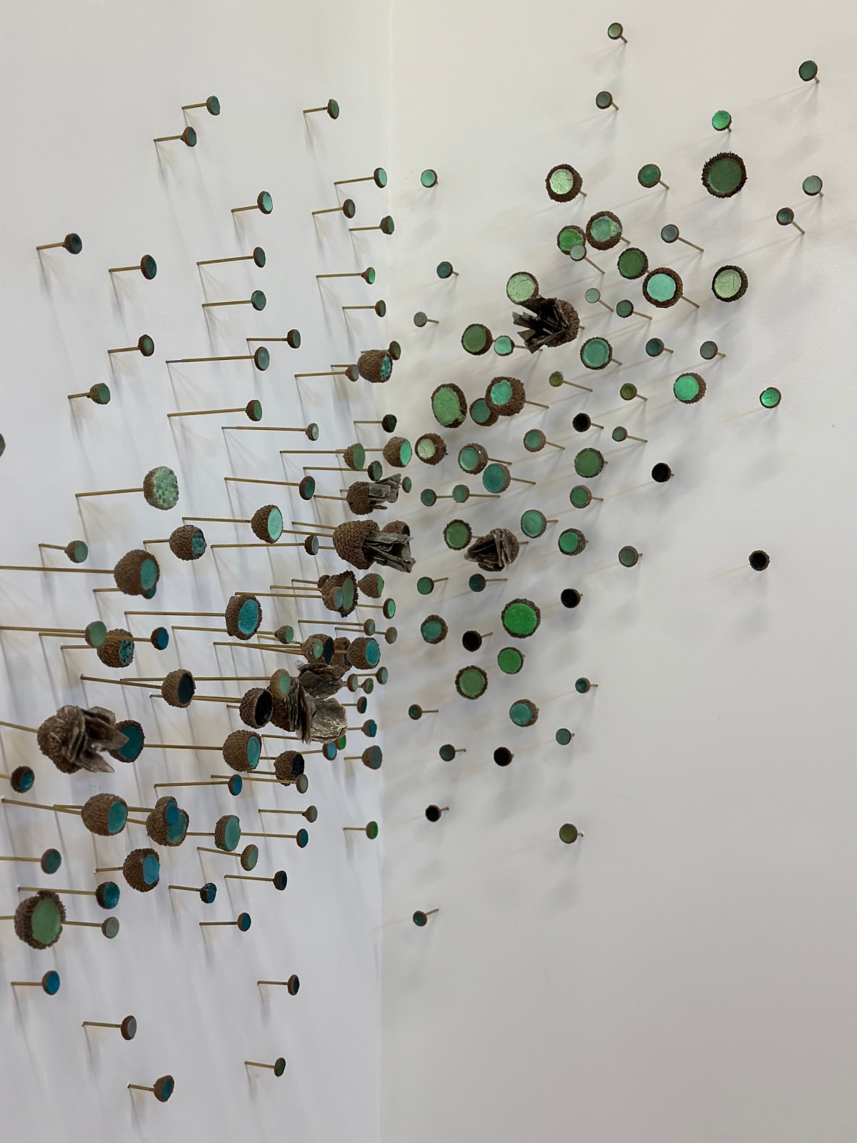 Julie Maren, Aquatic Garden, 2024