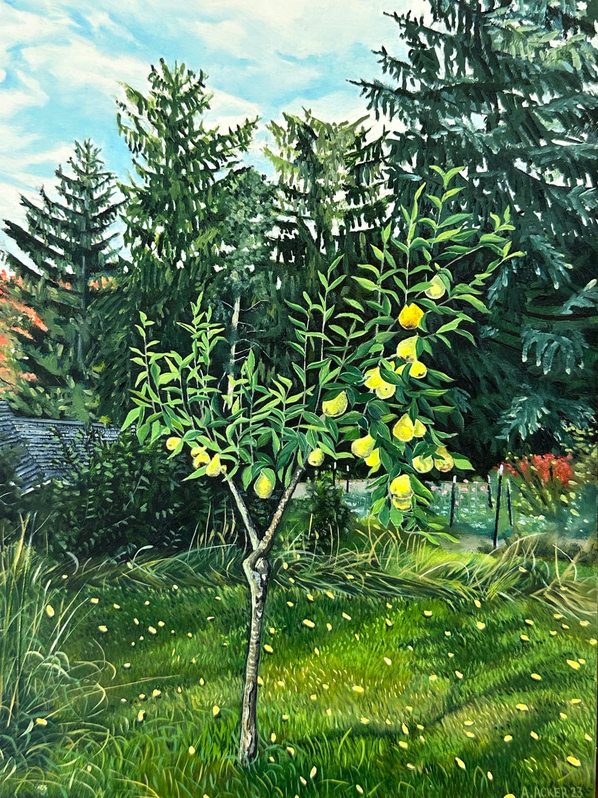 Amanda Acker, Backyard Pear, 2023
