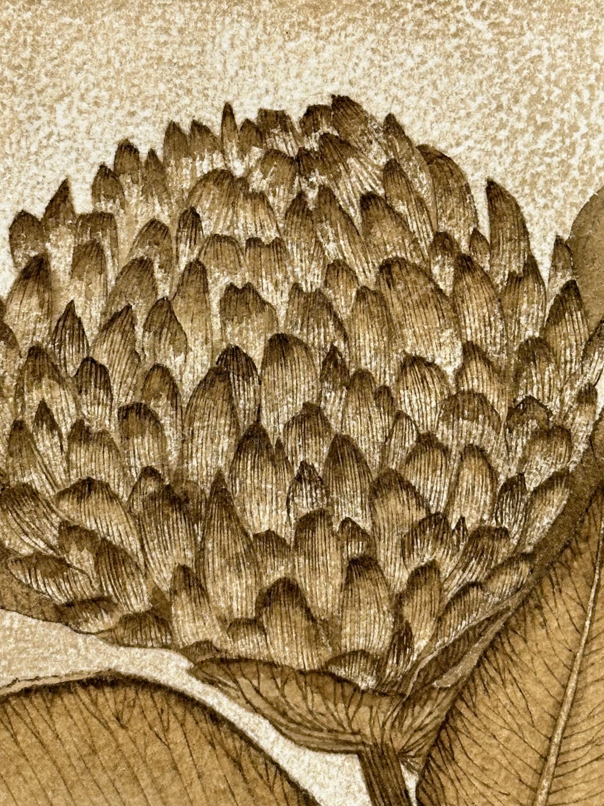 Margot Glass, Red Clover, 2024