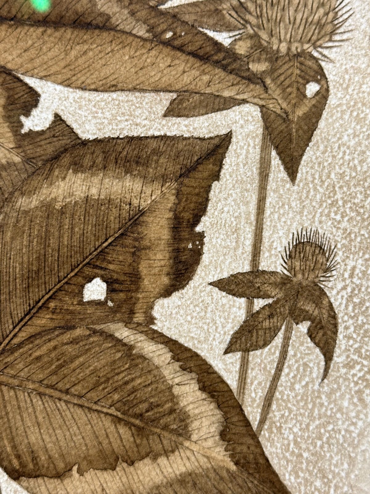 Margot Glass, Red Clover, 2024