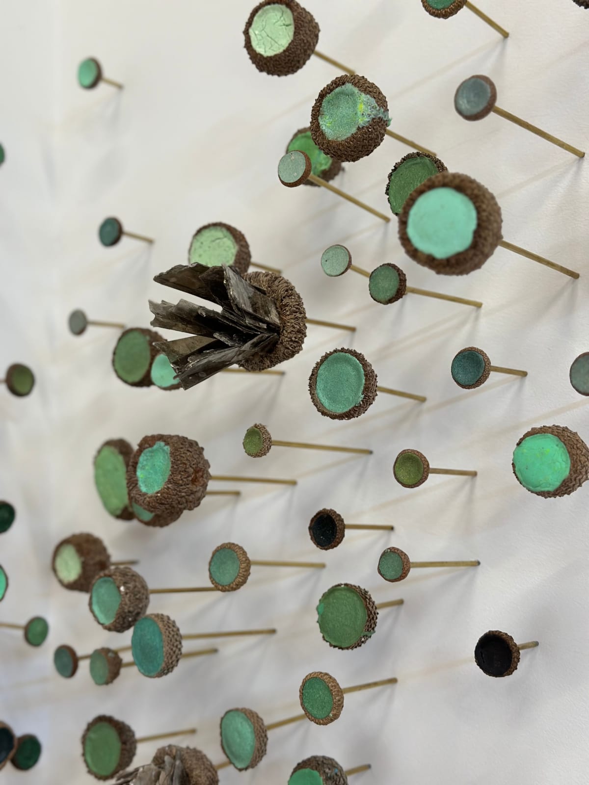 Julie Maren, Aquatic Garden, 2024