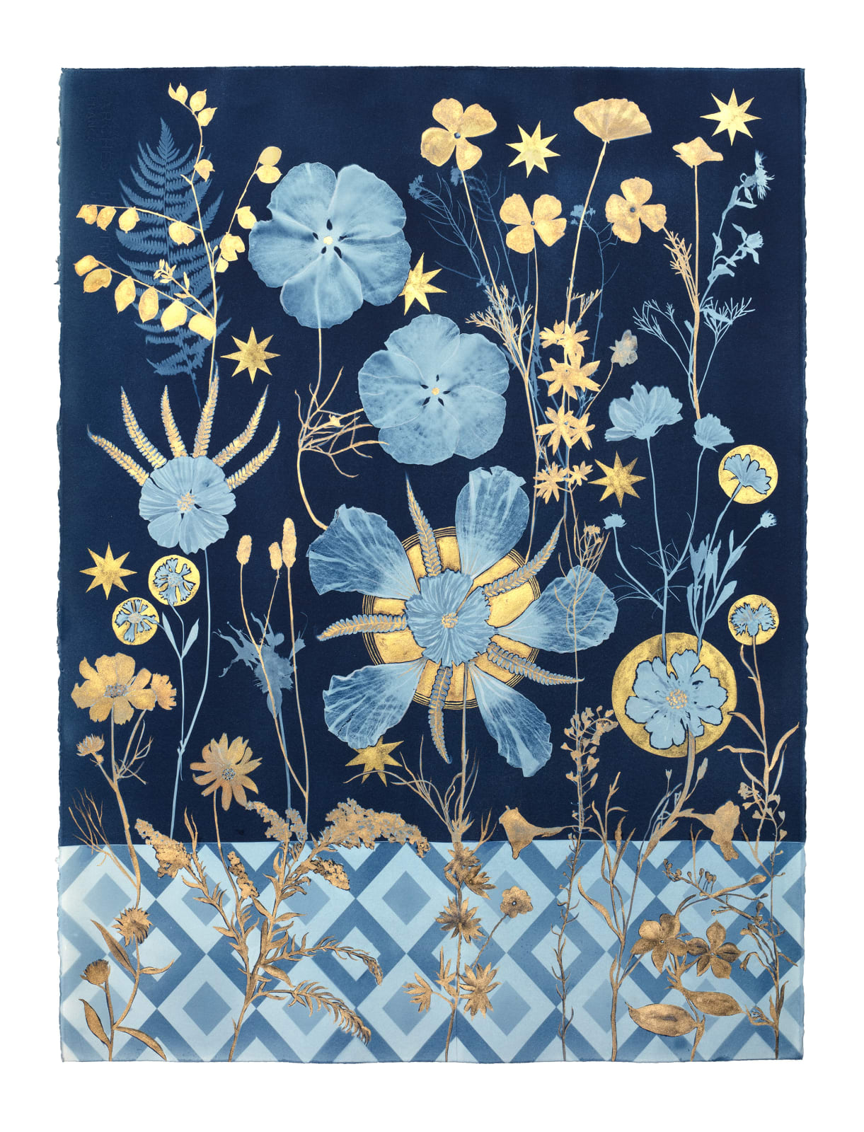 Julia Whitney Barnes, Cyanotype Painting (Gold Cosmos, Rose of Sharon, Stars, Floor Pattern), 2021