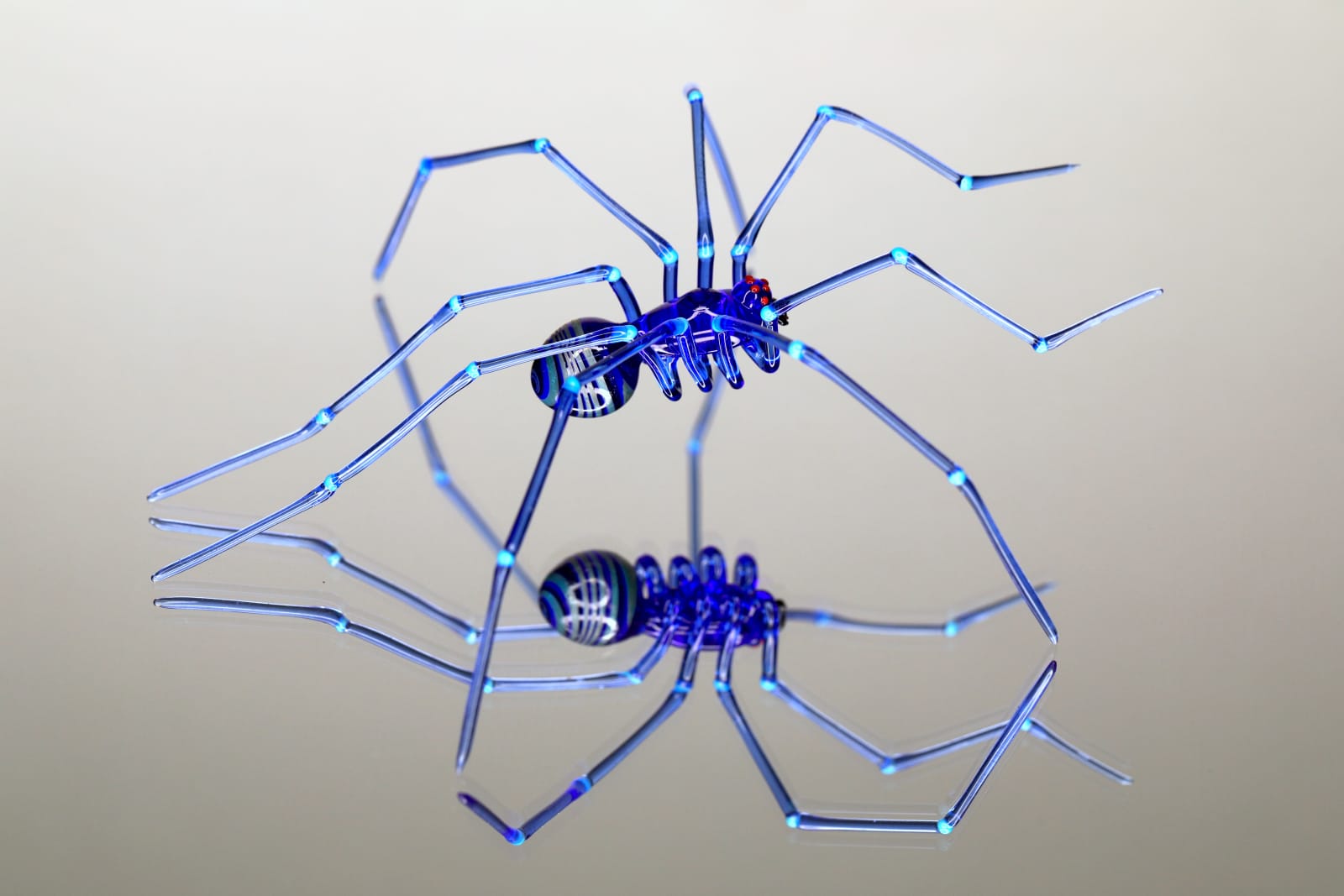 Elijah Schwartz, Blue Spider Swirl, 2020