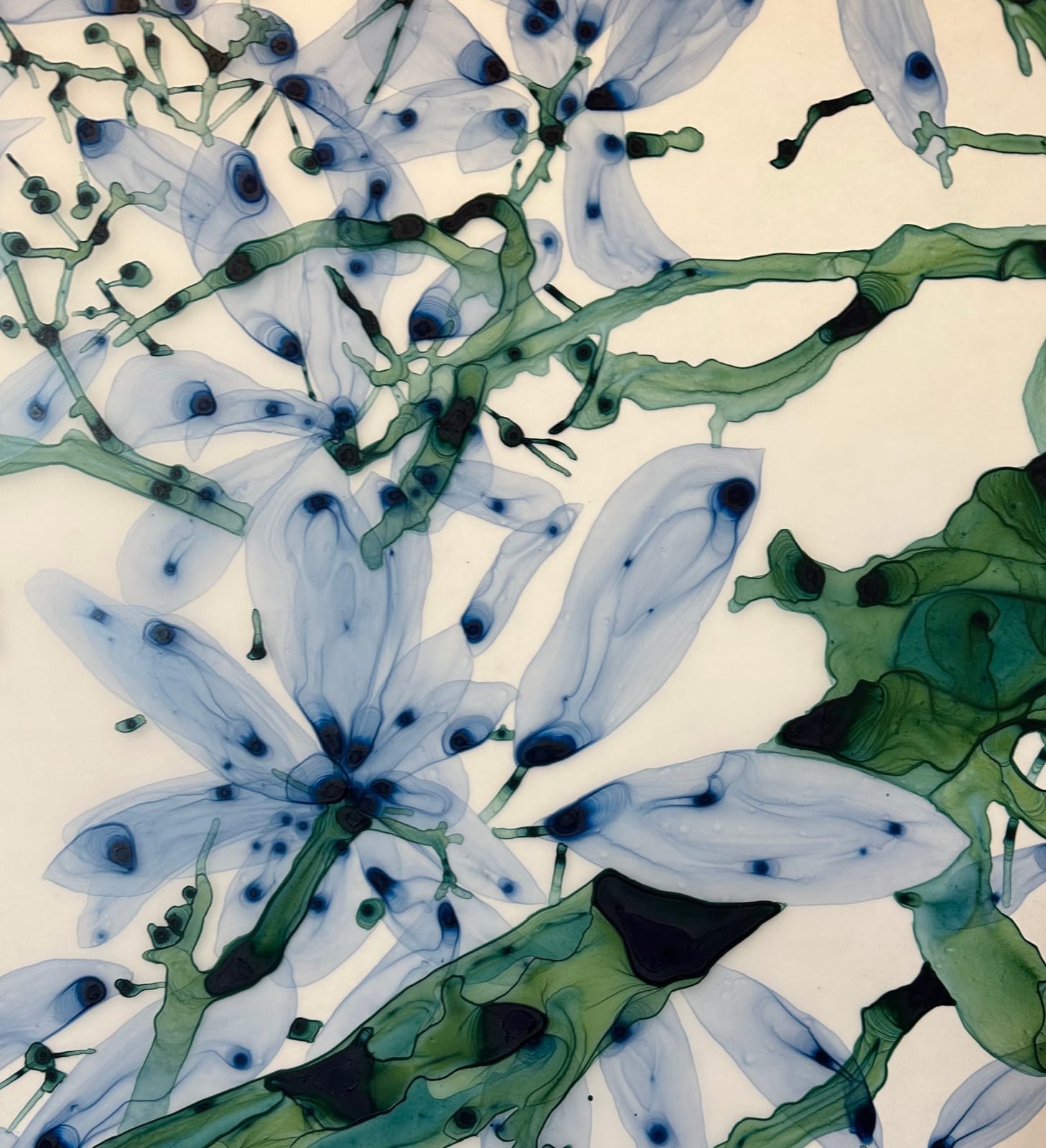 Jackie Battenfield, Perse Cs2, 2023