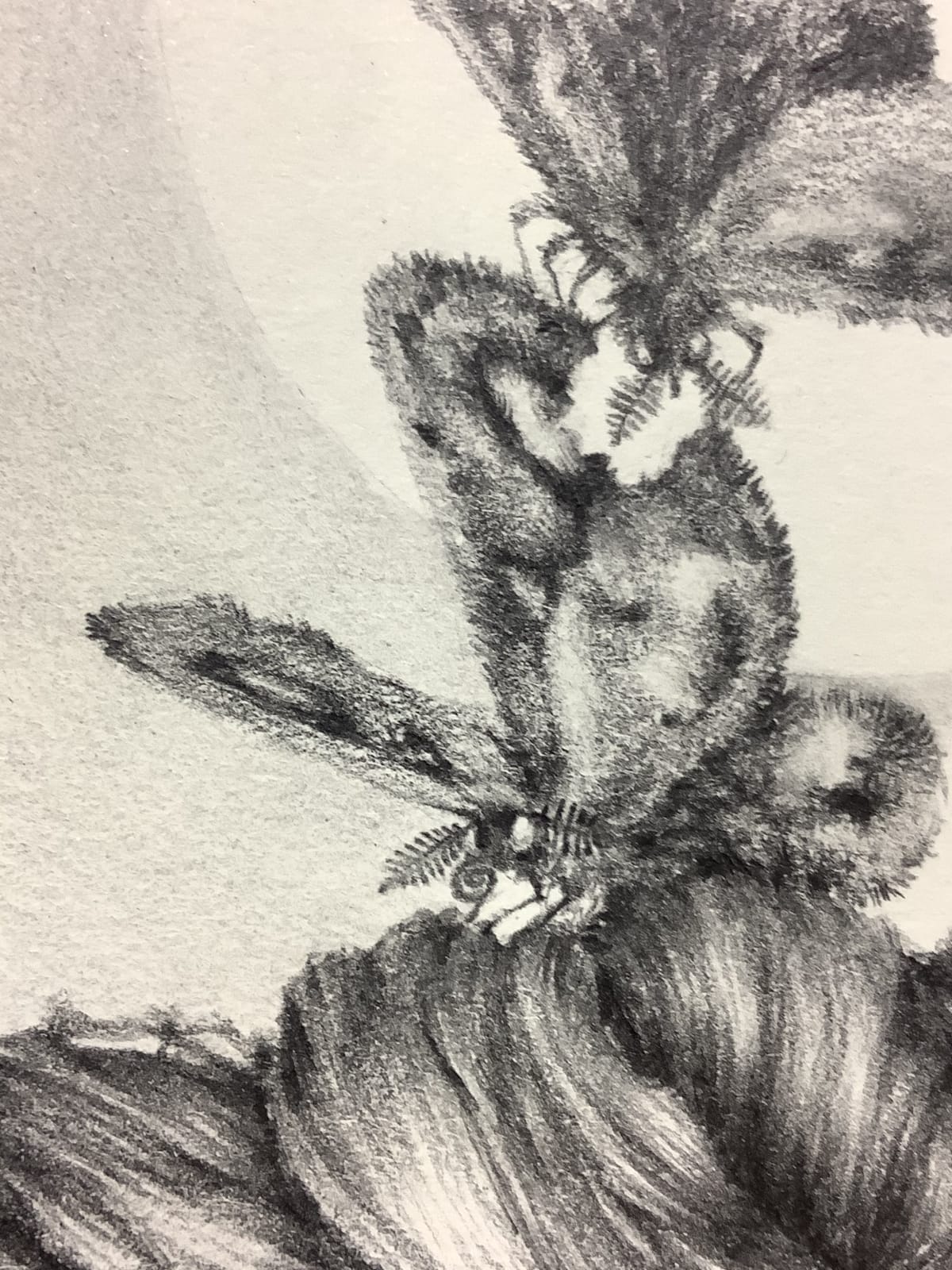 Francine Fox, Chapter Fine Focus, 2012