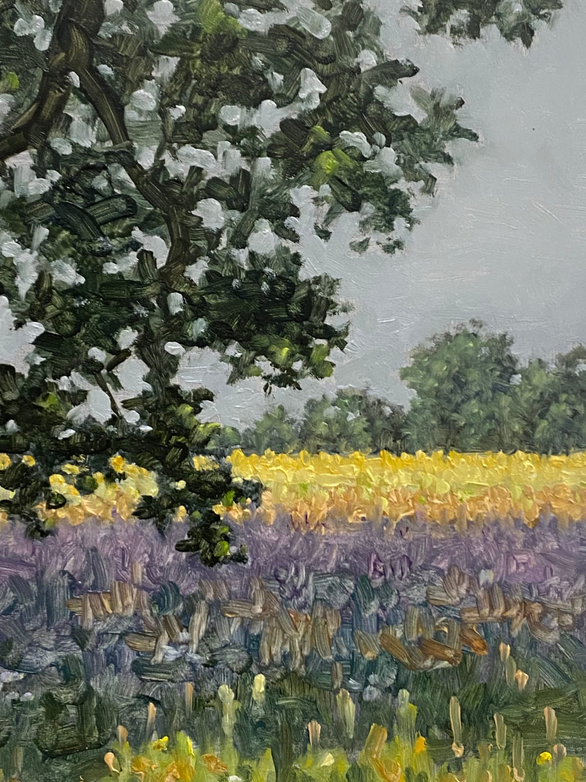 Thomas Sarrantonio, Field Painting June 30, 2022