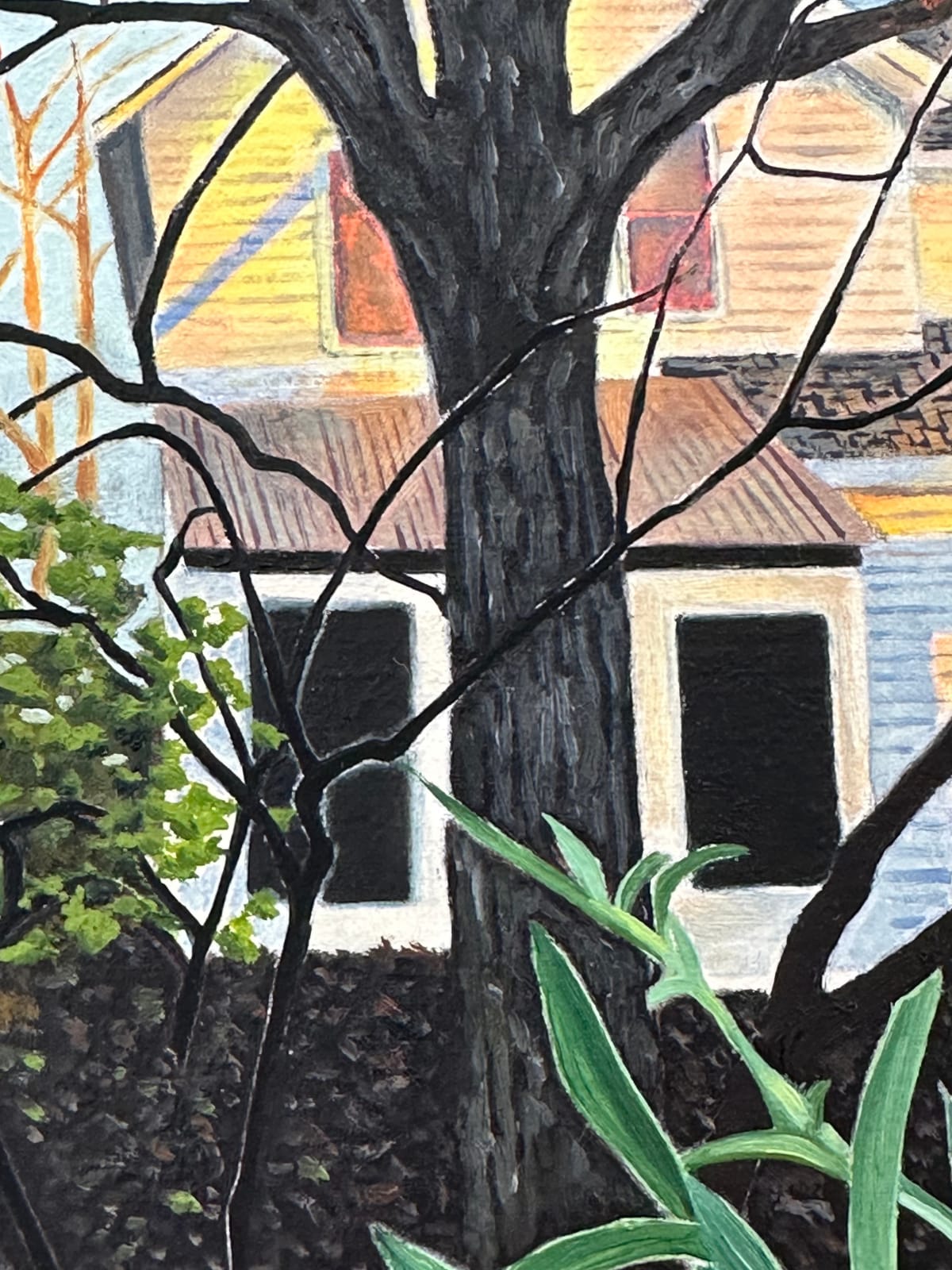Amanda Acker, November Bloom, 2023