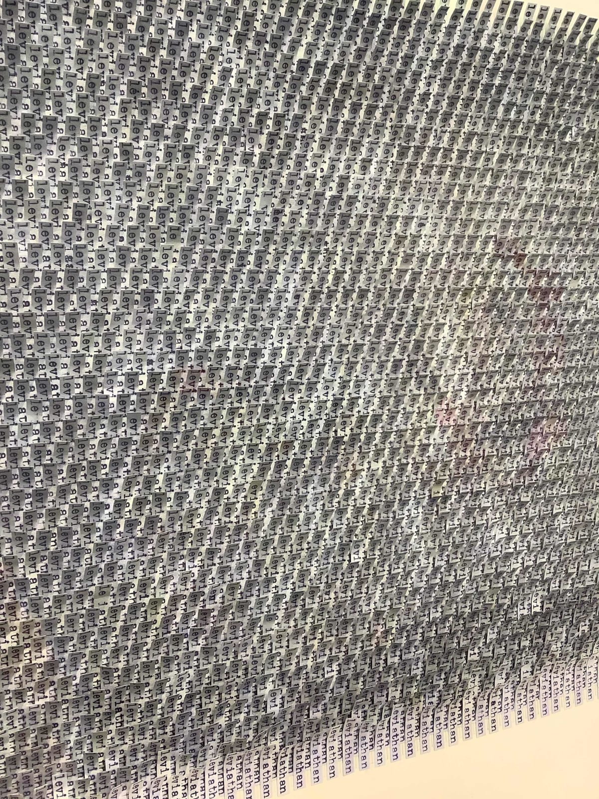Meg Hitchcock, Leviathan No. 2, 2019