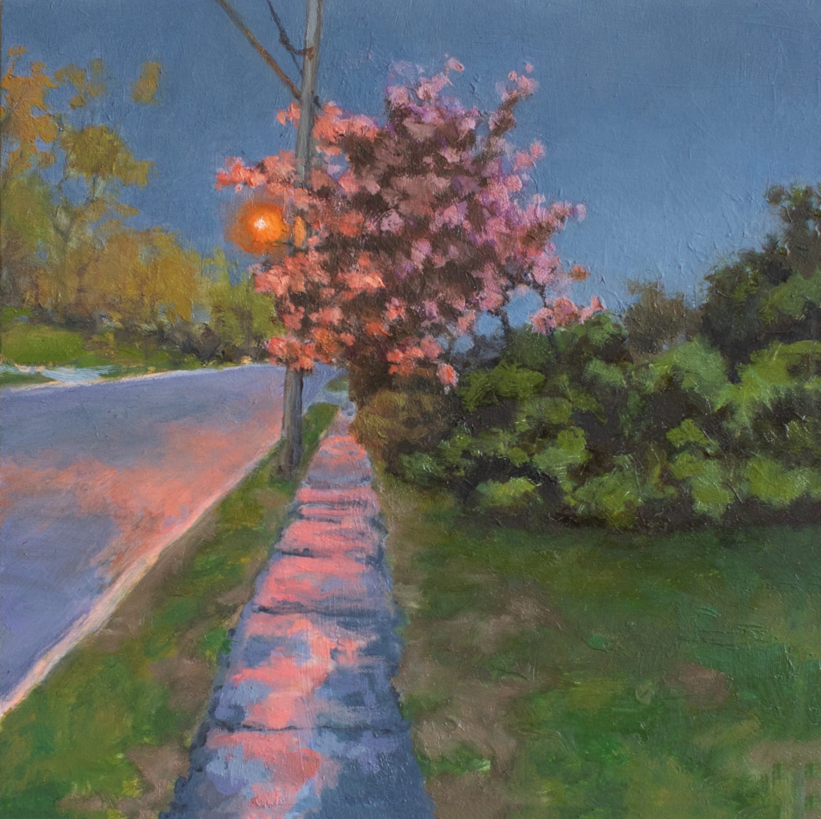 Sally Maca, Passing Storm, 2019