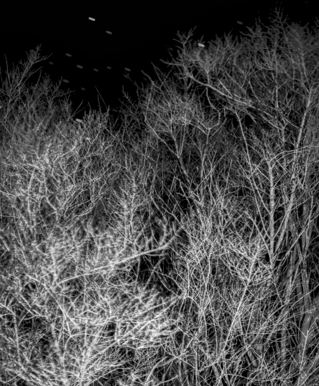 Maya Tihtiyas Attean, That Good Night, 2025