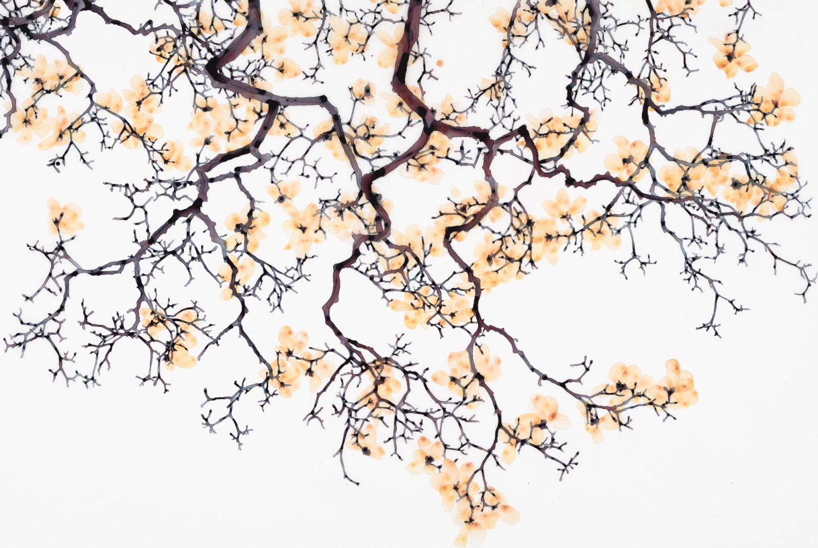 Jackie Battenfield, Flaxen Blossom, 2019