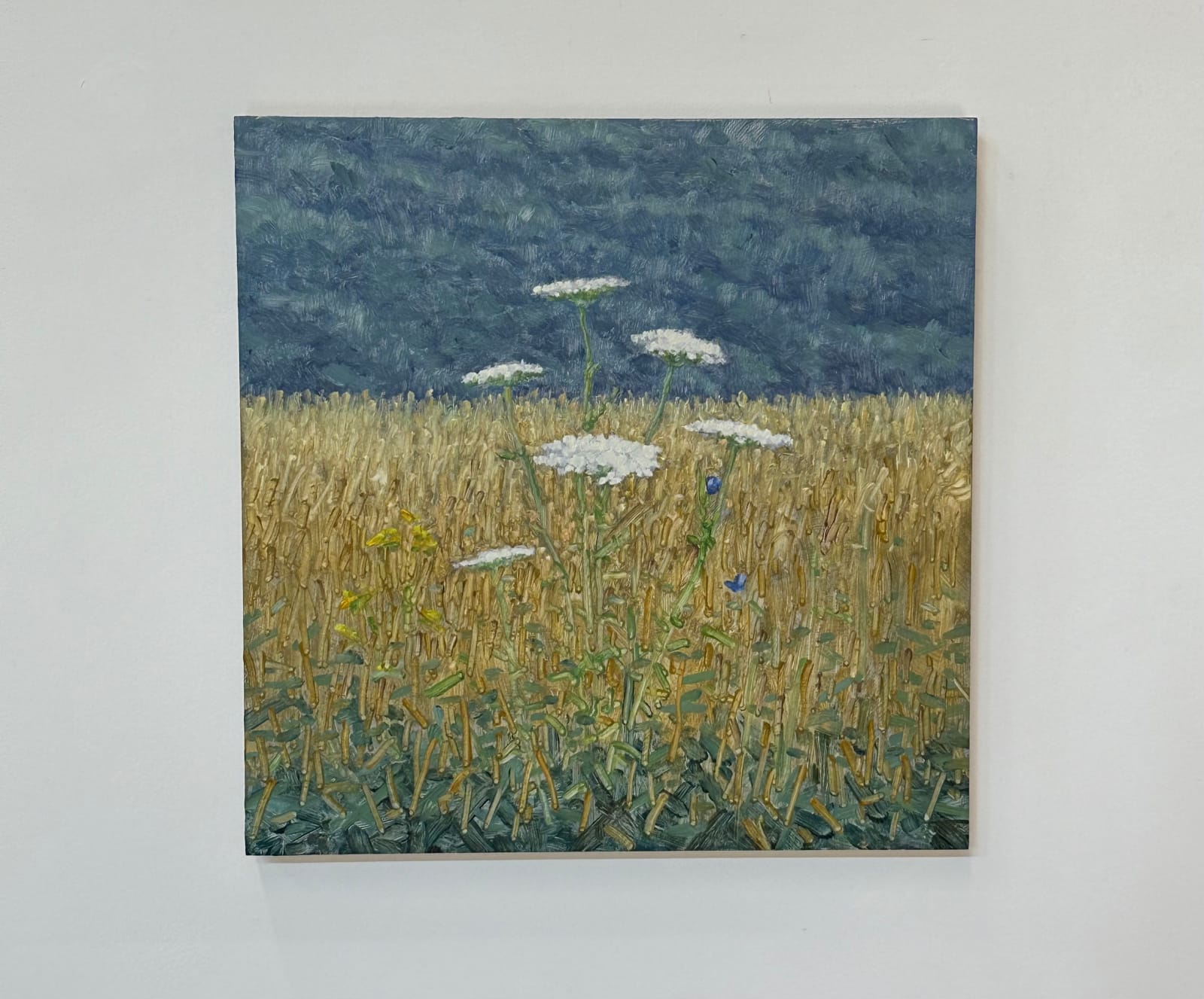 Thomas Sarrantonio, Field Painting July 15, 2024