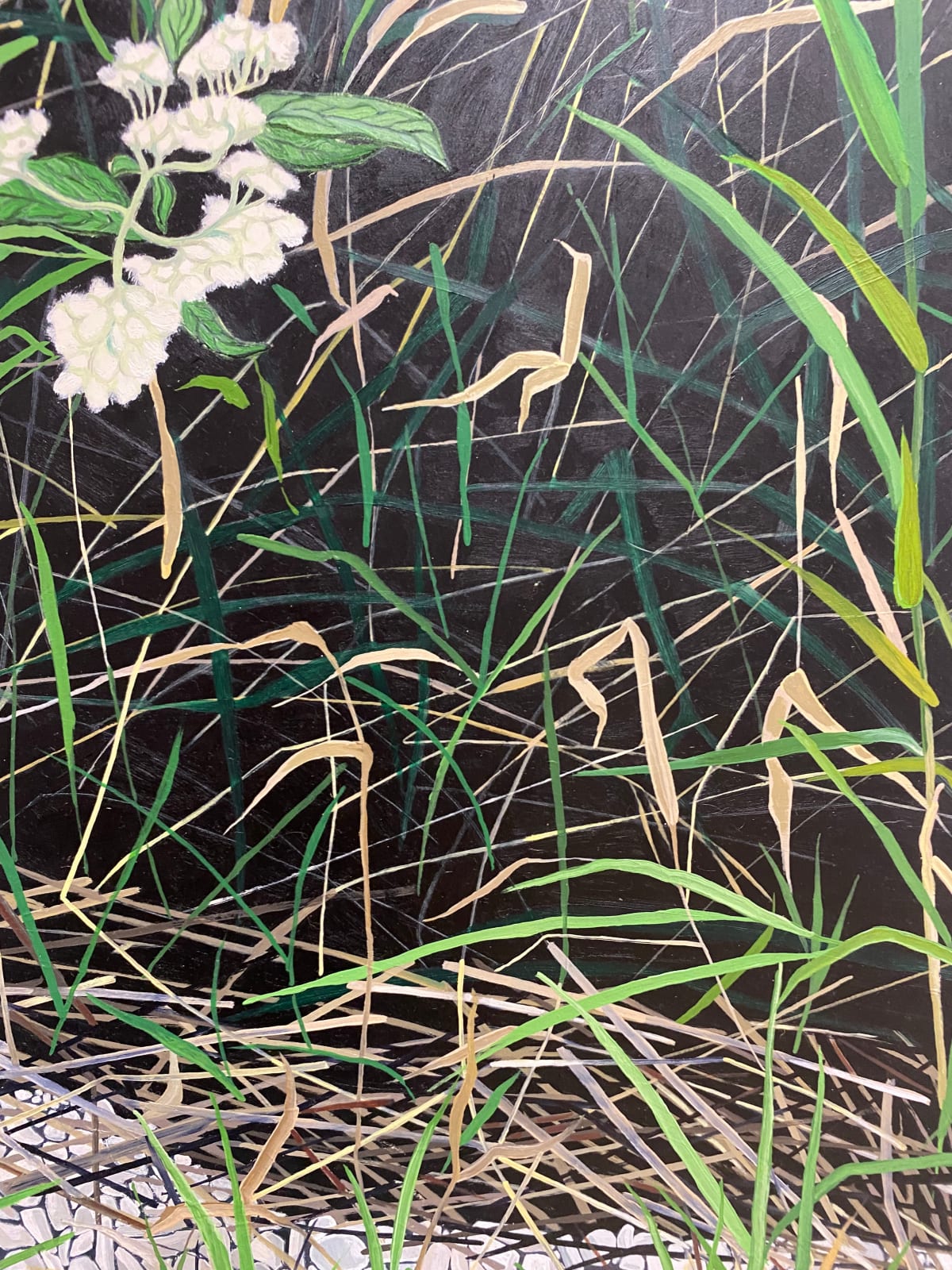 Amanda Acker, Slithering In, 2023