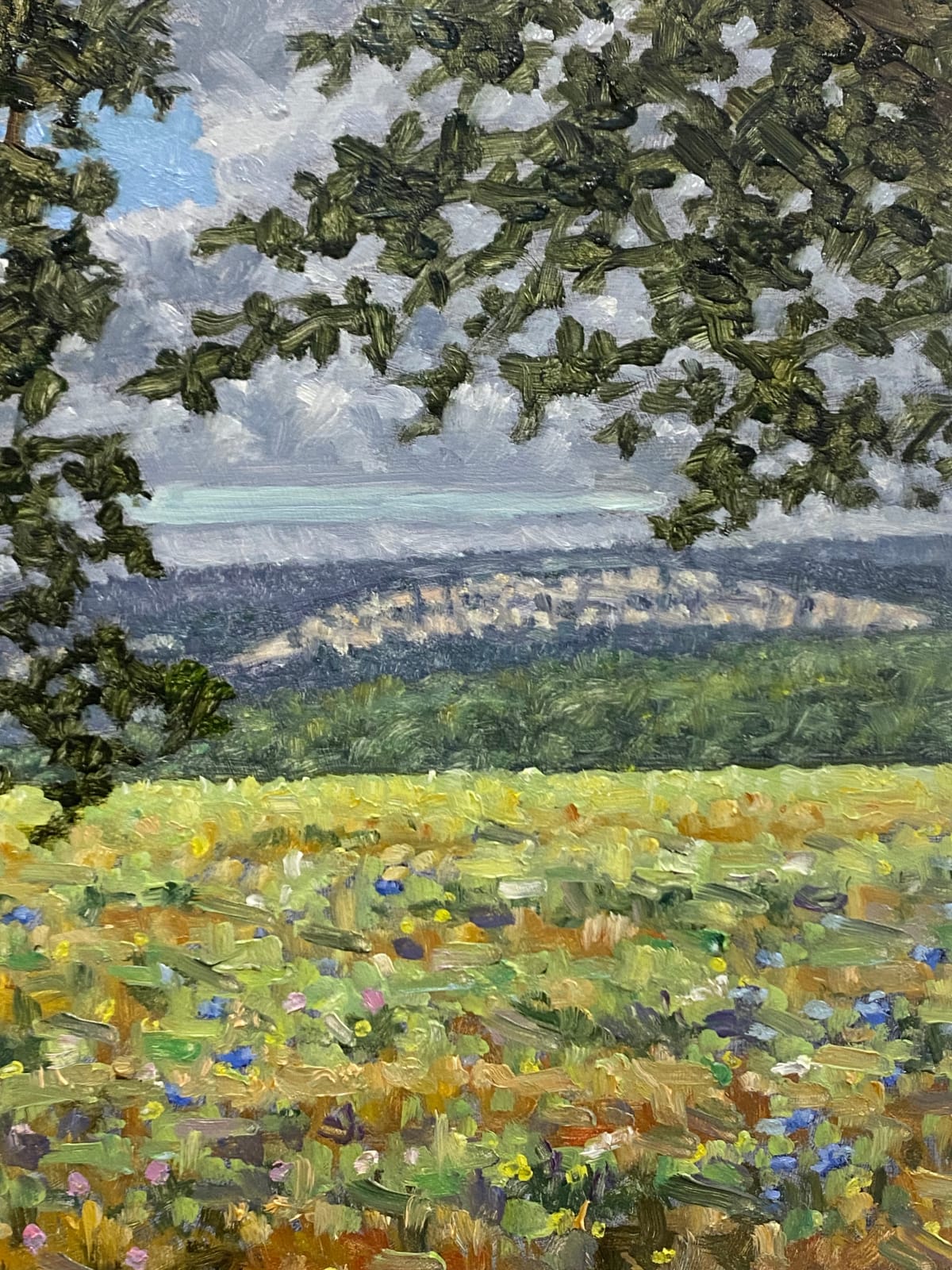 Thomas Sarrantonio, Field Painting July 19, 2021