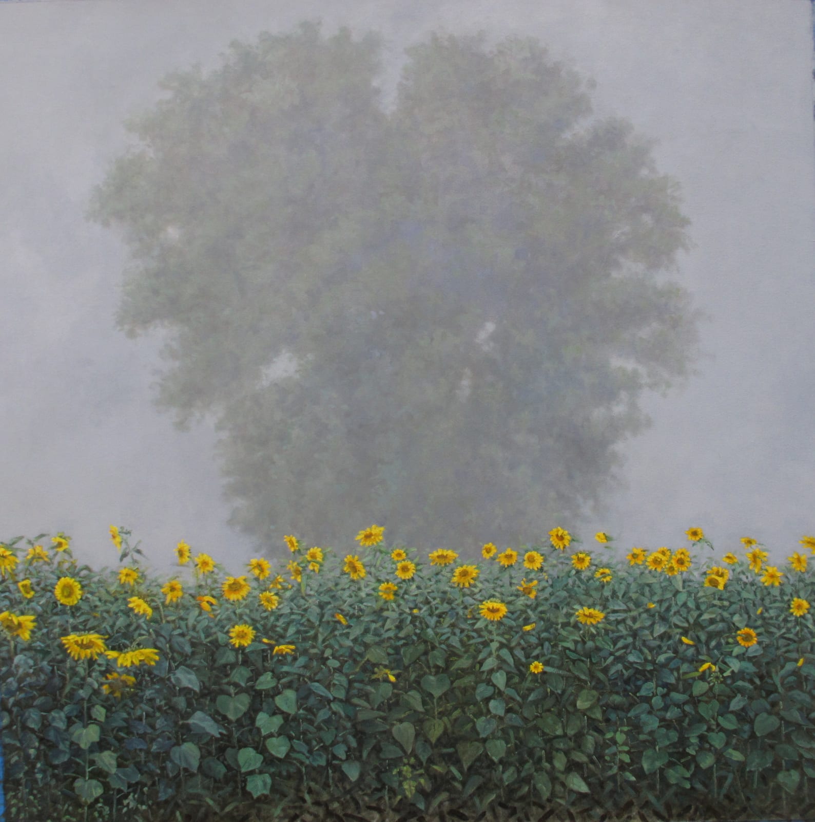 Thomas Sarrantonio, Visibility, 2019