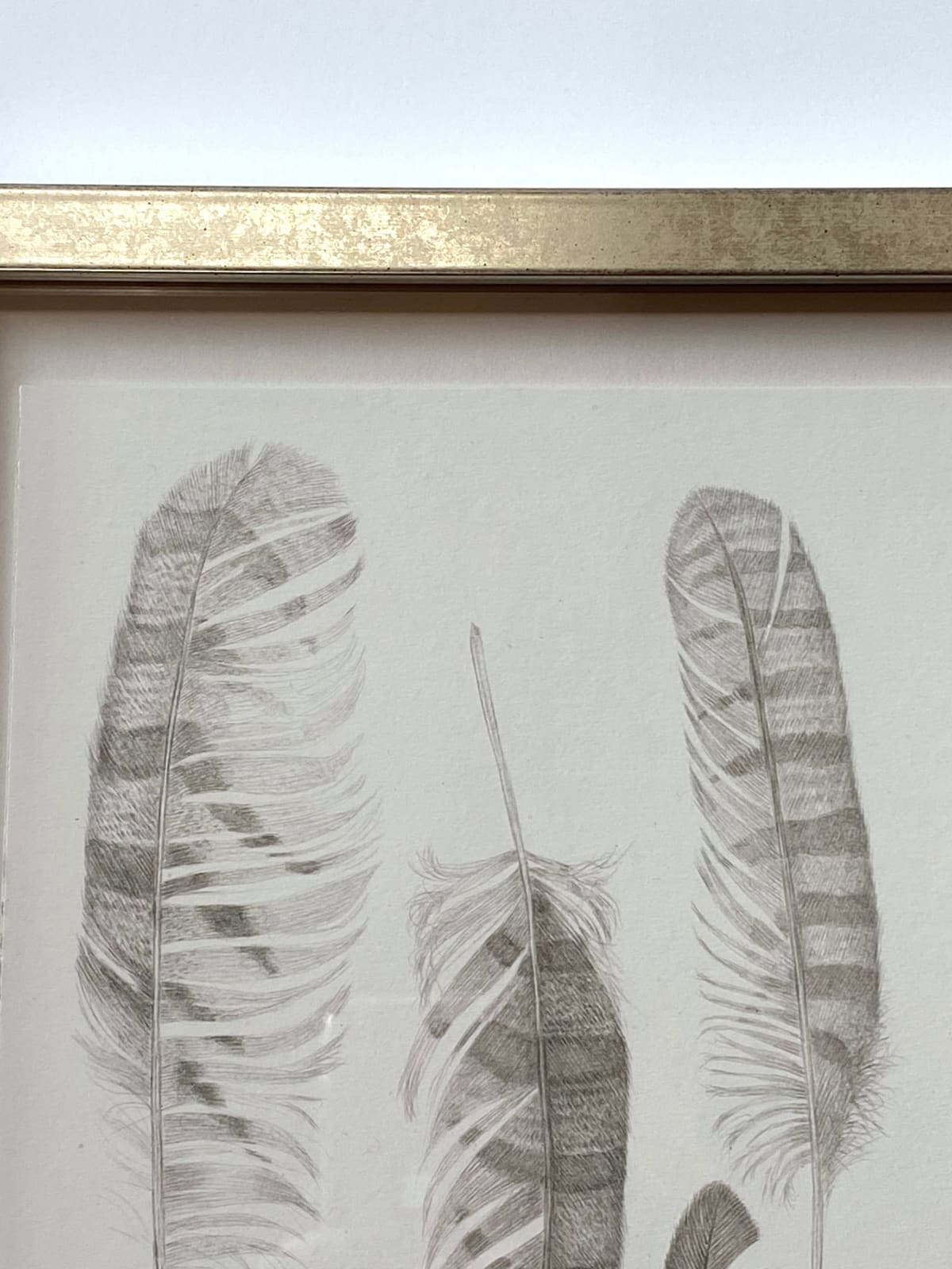 Margot Glass, Feather Group 2, 2021