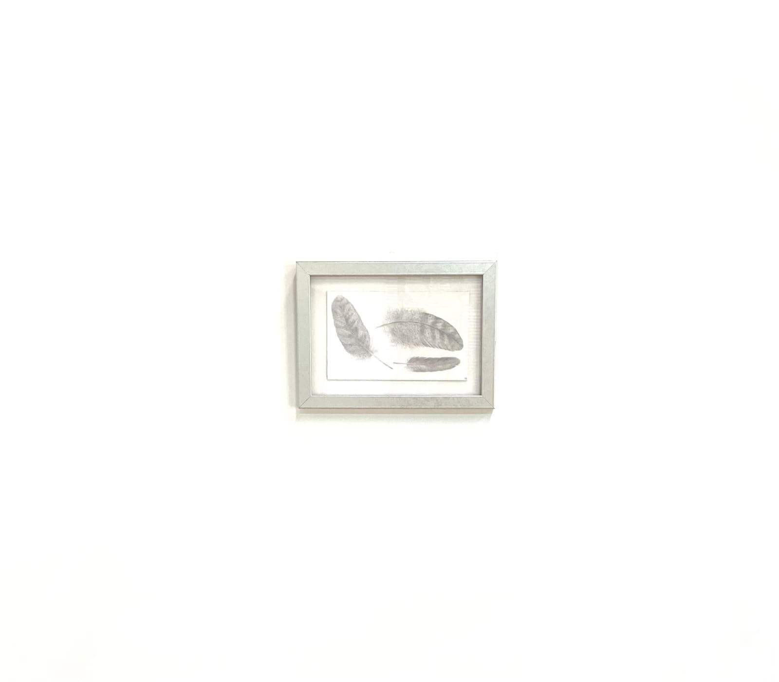 Margot Glass, Three Feathers, 2021