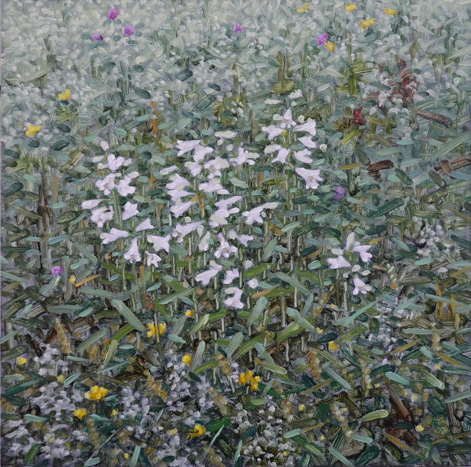 Thomas Sarrantonio, Field Painting June 11, 2021