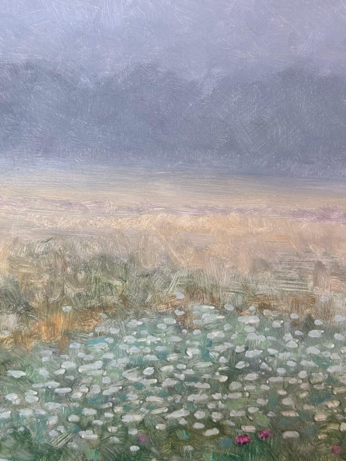 Thomas Sarrantonio, Field Painting August 16, 2024