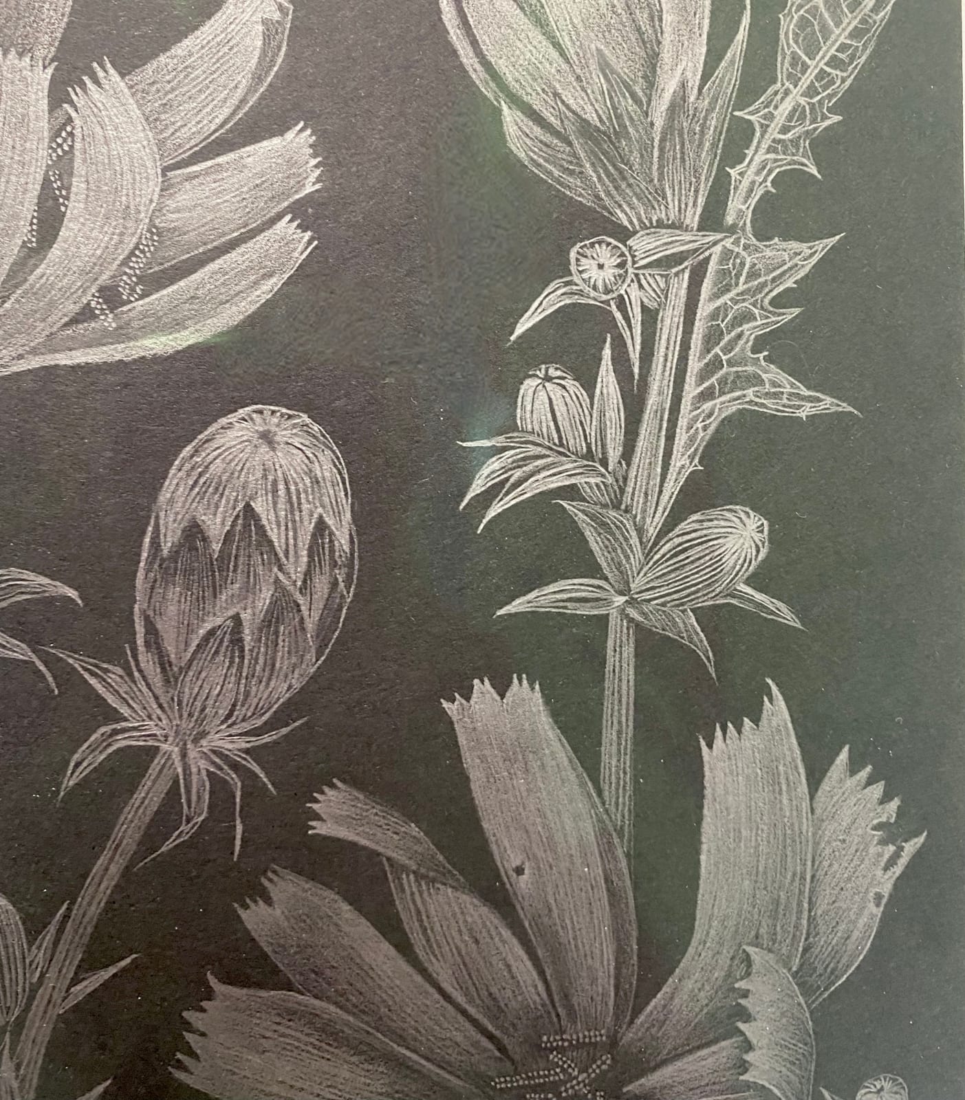 Margot Glass, Chicory 2, 2022