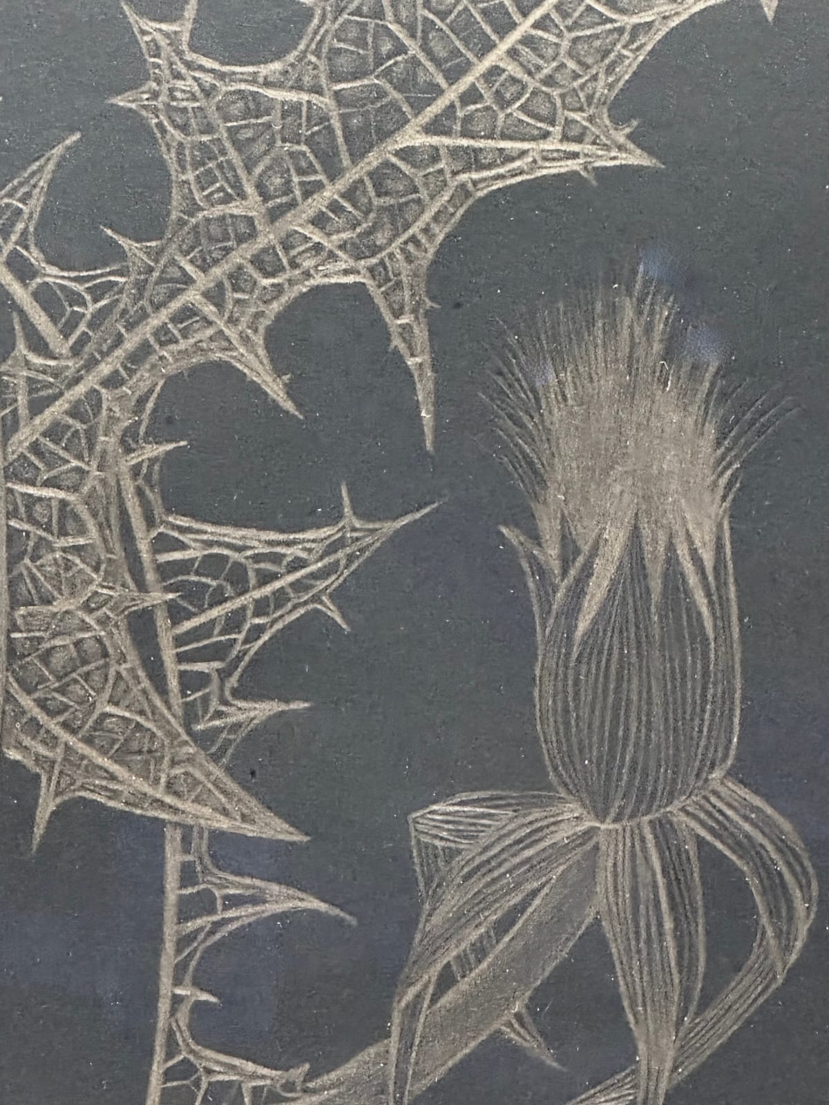 Margot Glass, Two Dandelions with Bud, 2024
