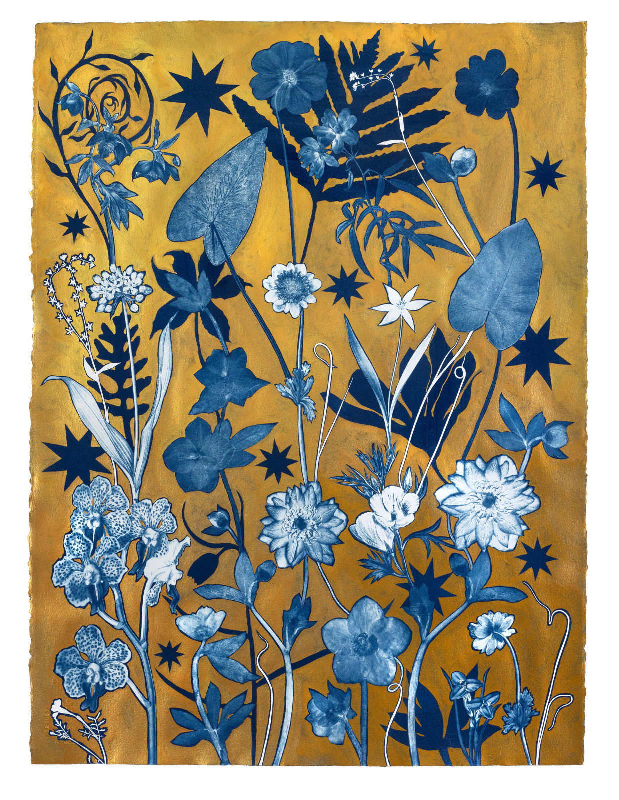 Julia Whitney Barnes, Gold Flora, Shadows (Orchid, Hellebore, Leaves, Cosmos, Stars, etc.), 2023-'24