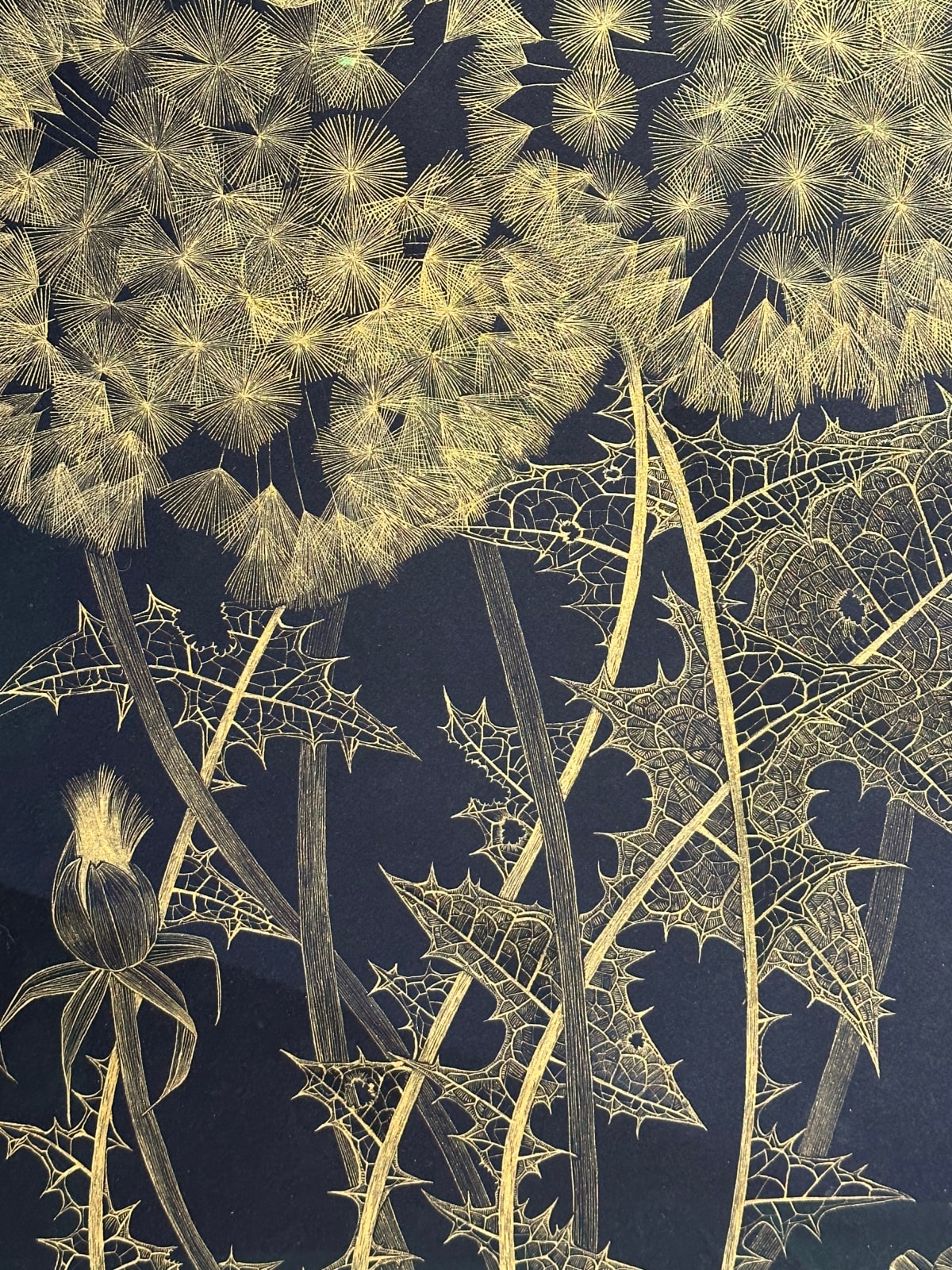 Margot Glass, Large Dandelion 6, 2023