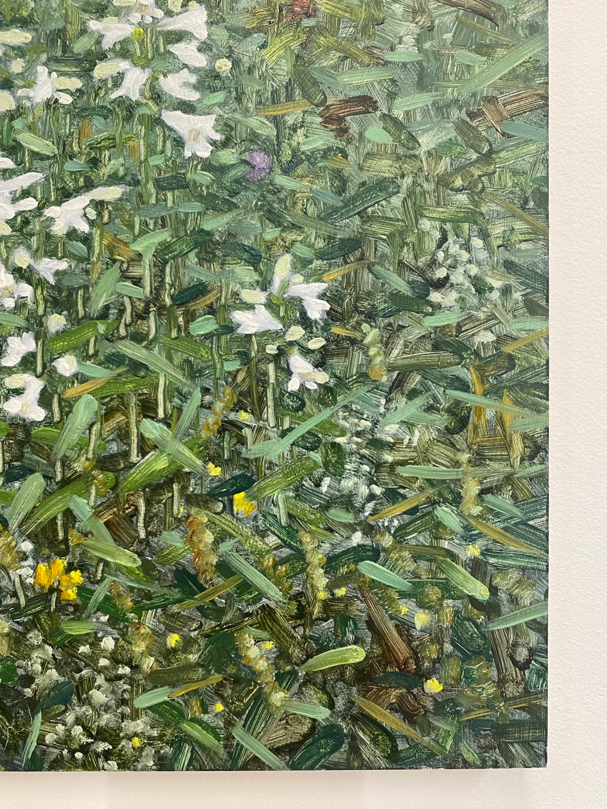 Thomas Sarrantonio, Field Painting June 11, 2021