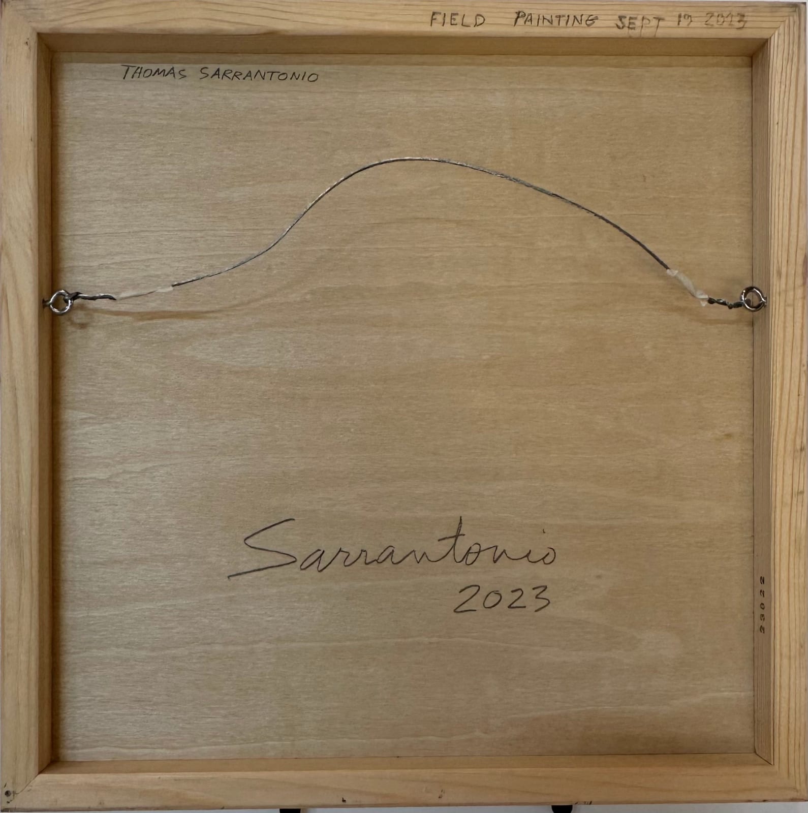 Thomas Sarrantonio, Field Painting September 19, 2023