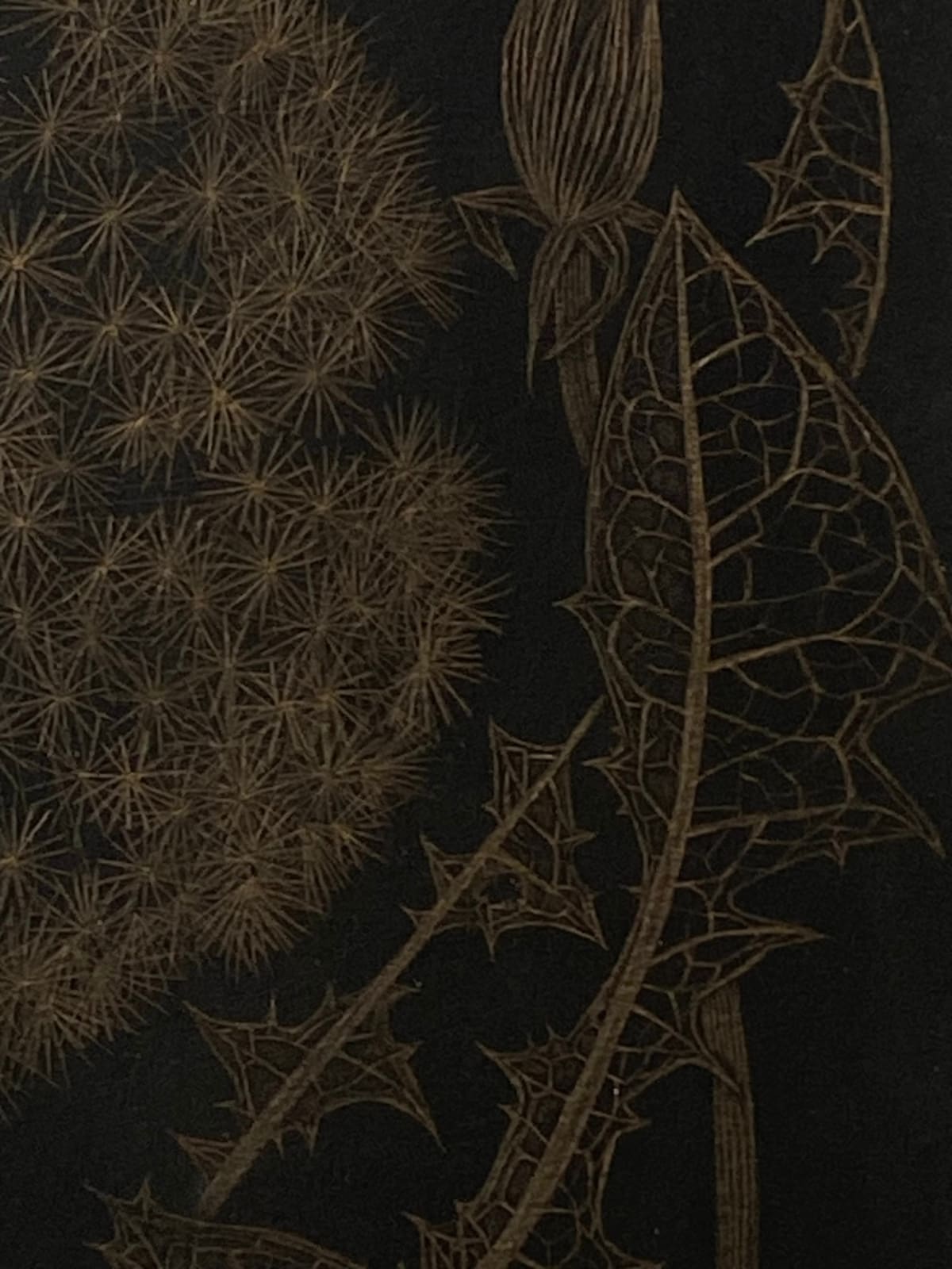 Margot Glass, Dandelion with Two Buds, 2022