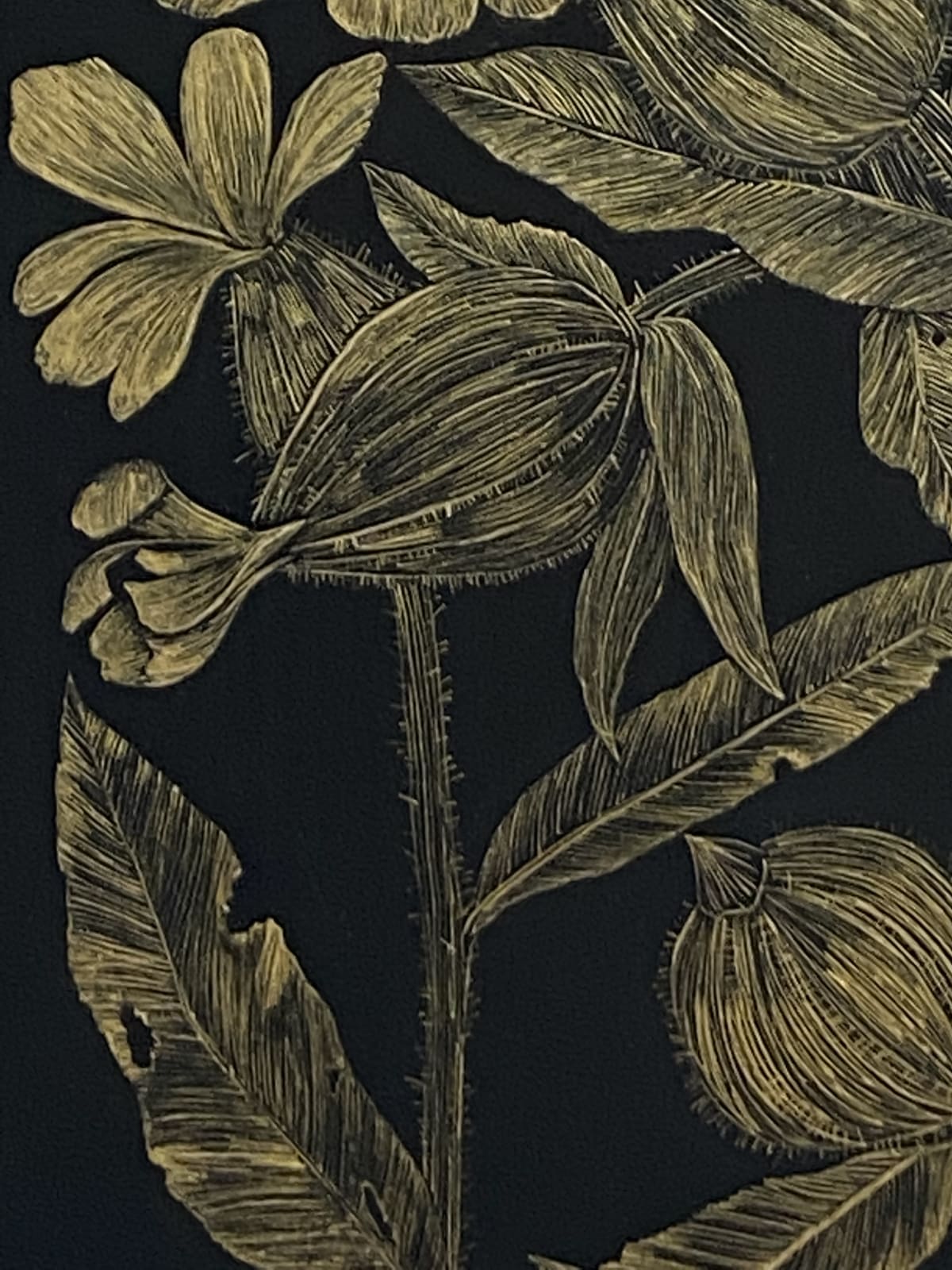 Margot Glass, White Campion, 2021