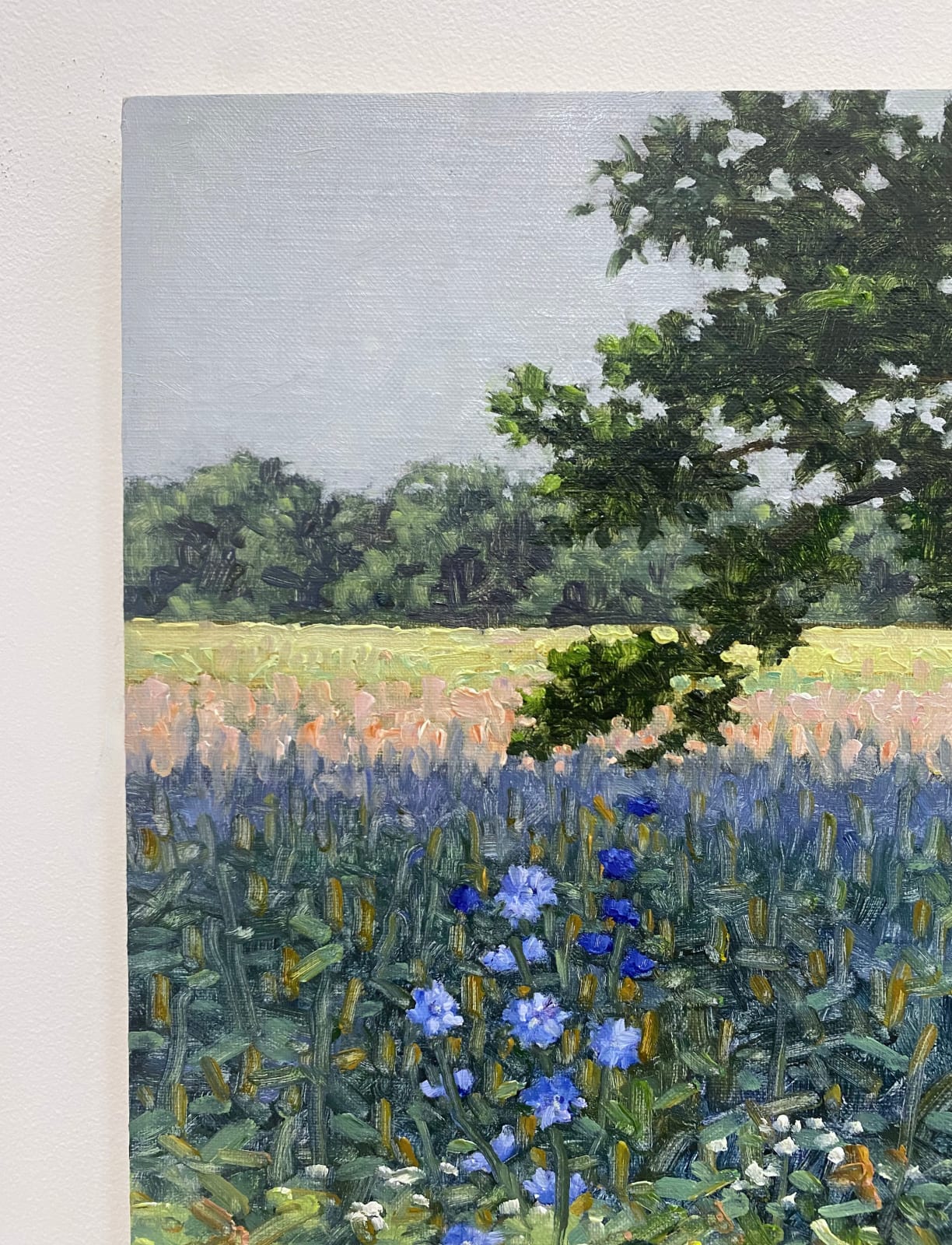 Thomas Sarrantonio, Field Painting July 8, 2022