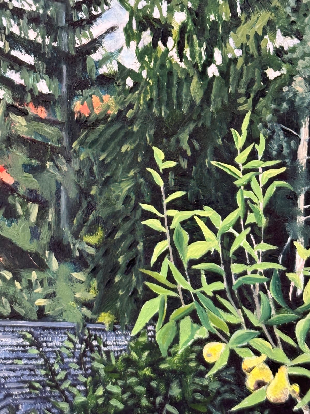 Amanda Acker, Backyard Pear, 2023