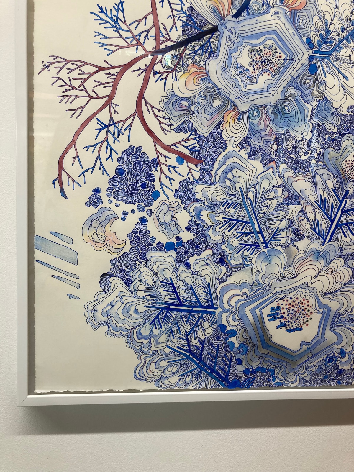 Sarah Morejohn, Snow Flora, Falling, 2020