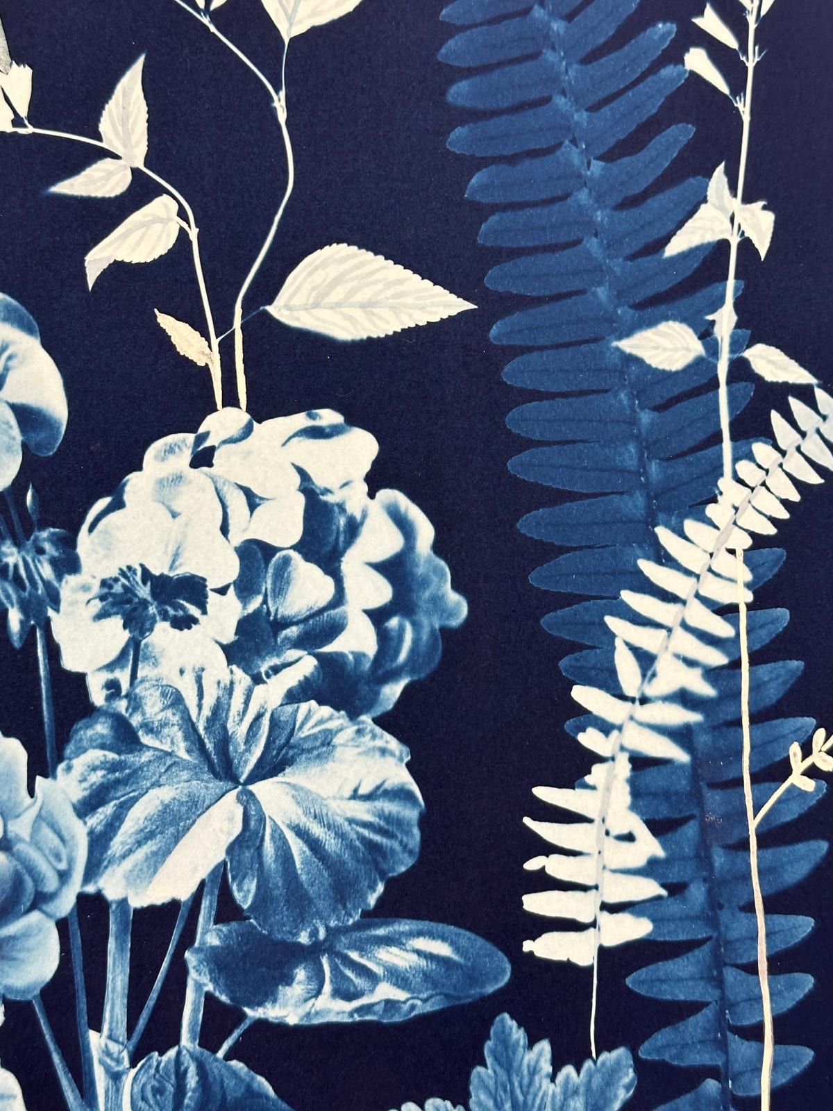 Julia Whitney Barnes, Nocturnal Nature (Geranium, Ferns, Hummingbird, etc.), 2021