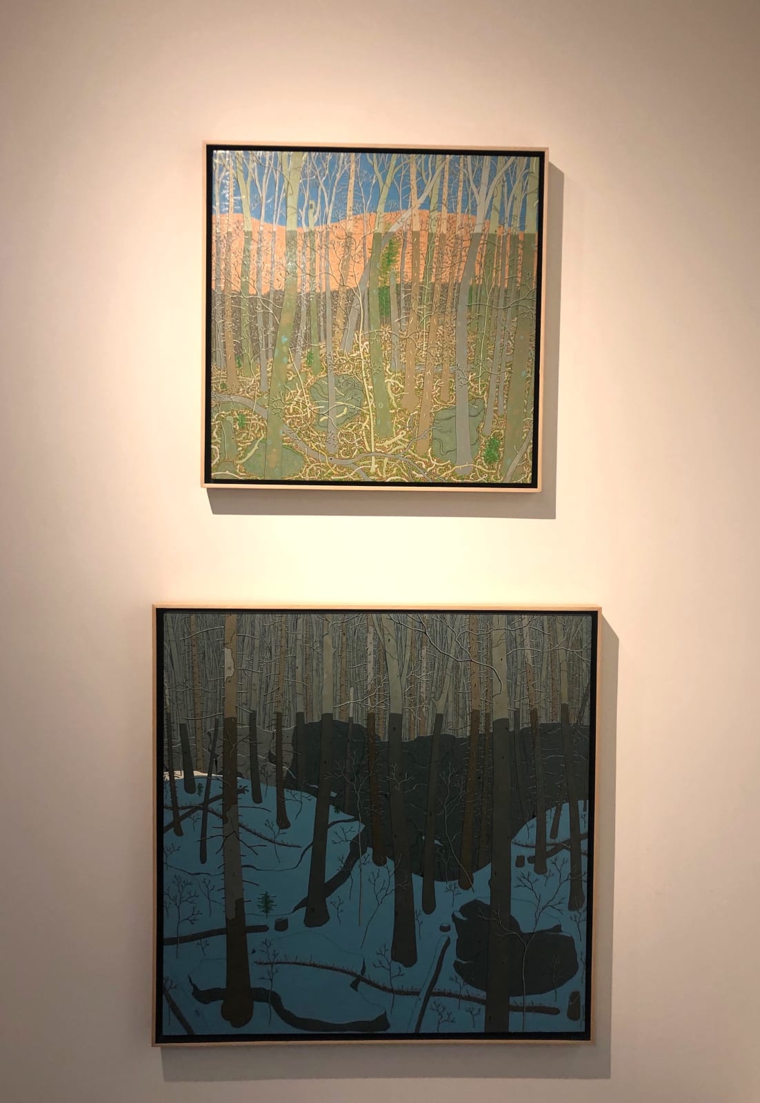 Gregory Hennen, Wyatt Mountain Shadow February, 2012