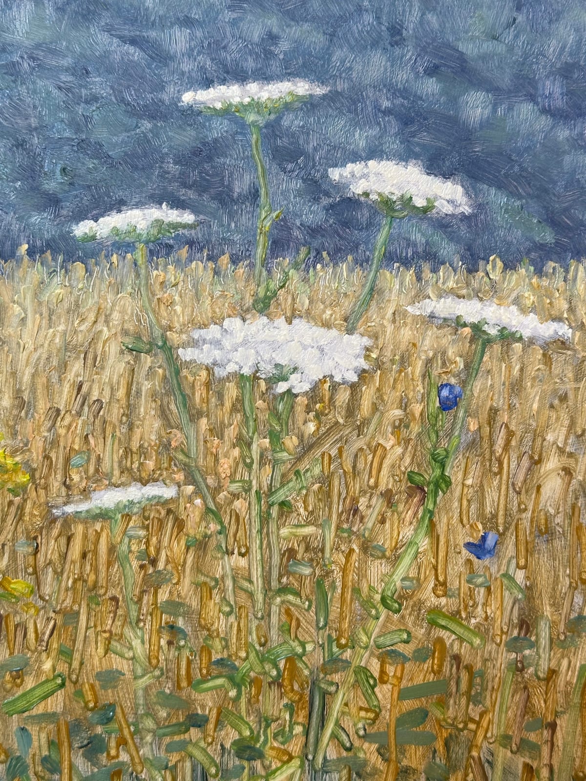 Thomas Sarrantonio, Field Painting July 15, 2024