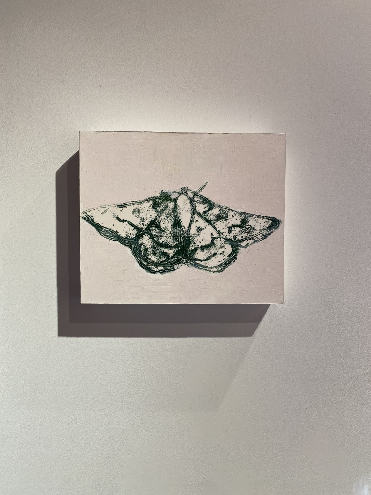 David Konigsberg, Moth #3, 2020