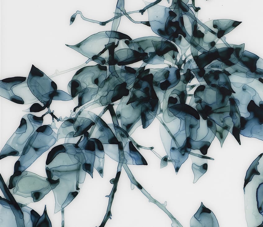 Jackie Battenfield, Hungry Teal, 2012
