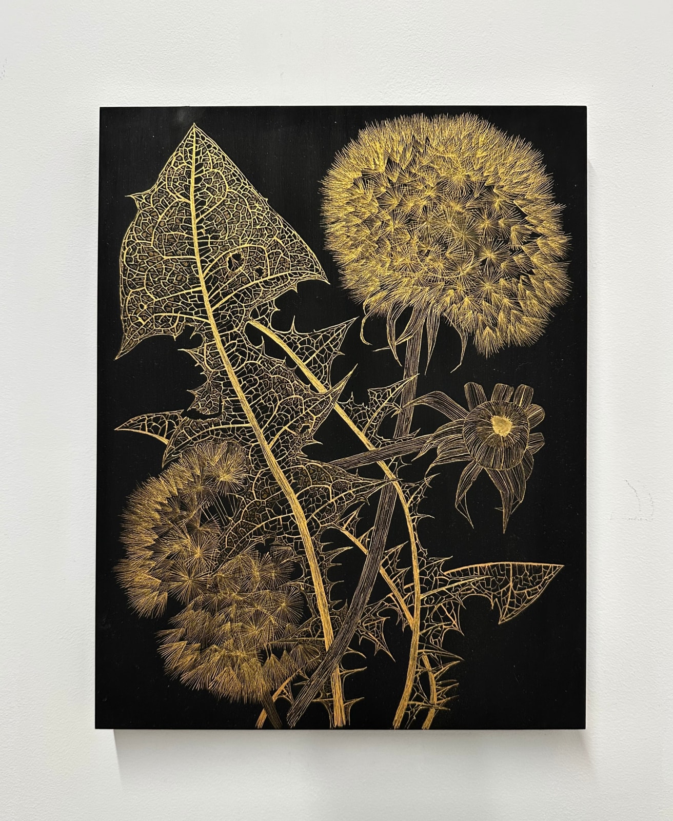Margot Glass, Dandelions with Bud 2, 2024