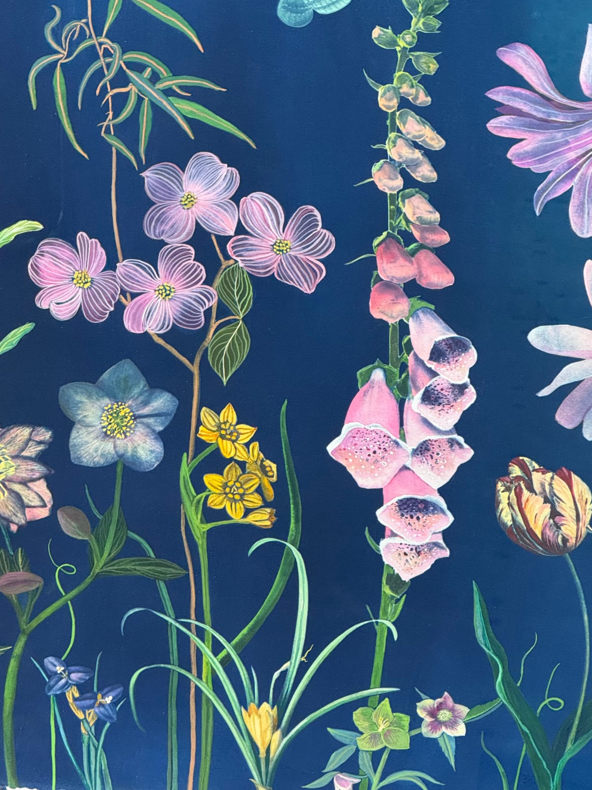 Julia Whitney Barnes, Picturesque Botany (Tulip, Magnolia, Dogwood, Foxglove, Crocus, Pollinators, etc.), 2025