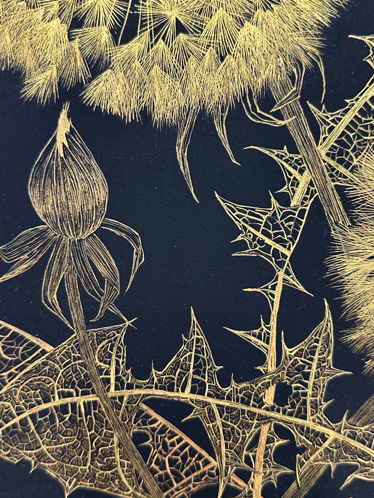 Margot Glass, Dandelions with Bud 1, 2024