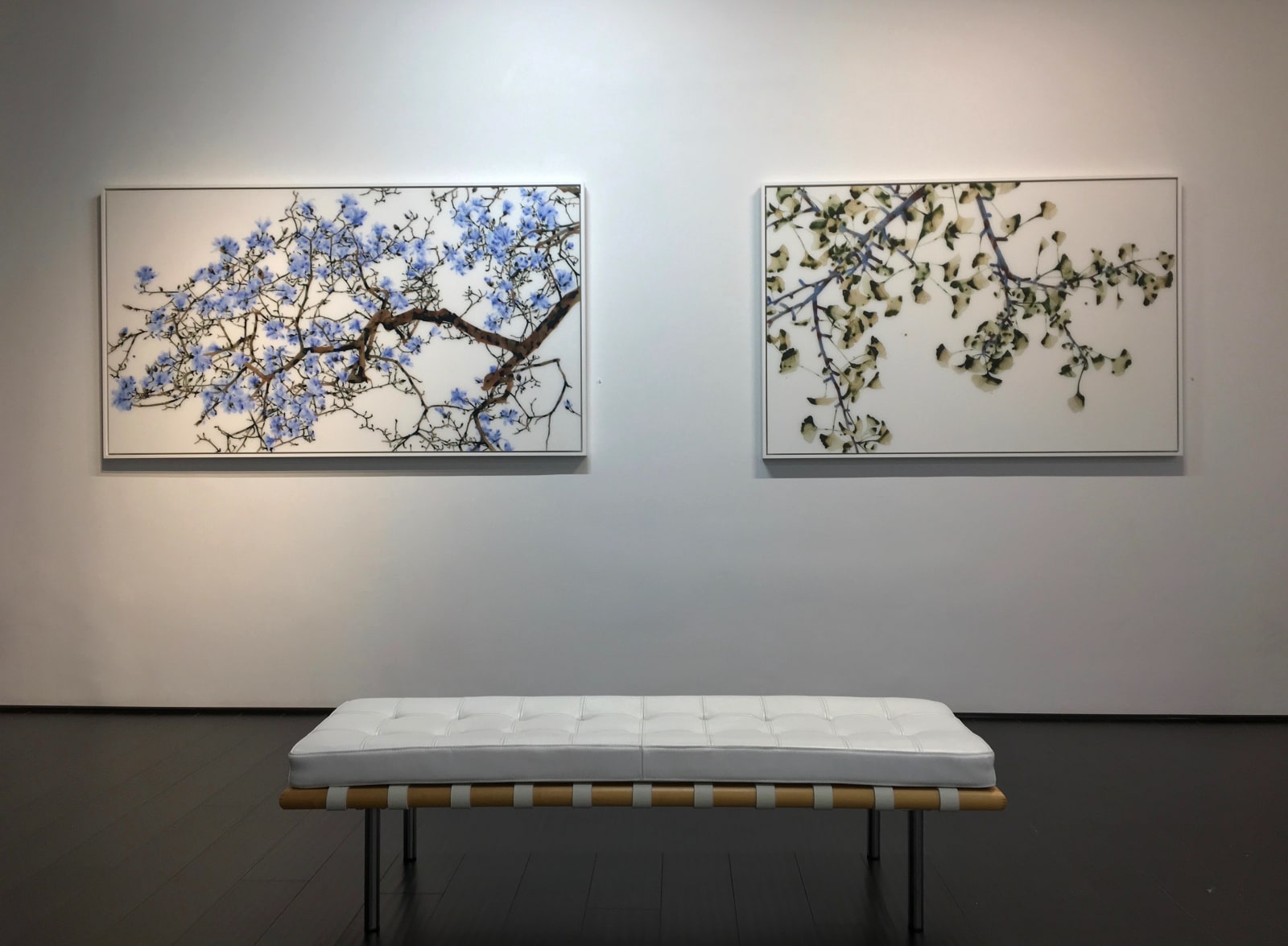 Jackie Battenfield, Salt Mist, 2018