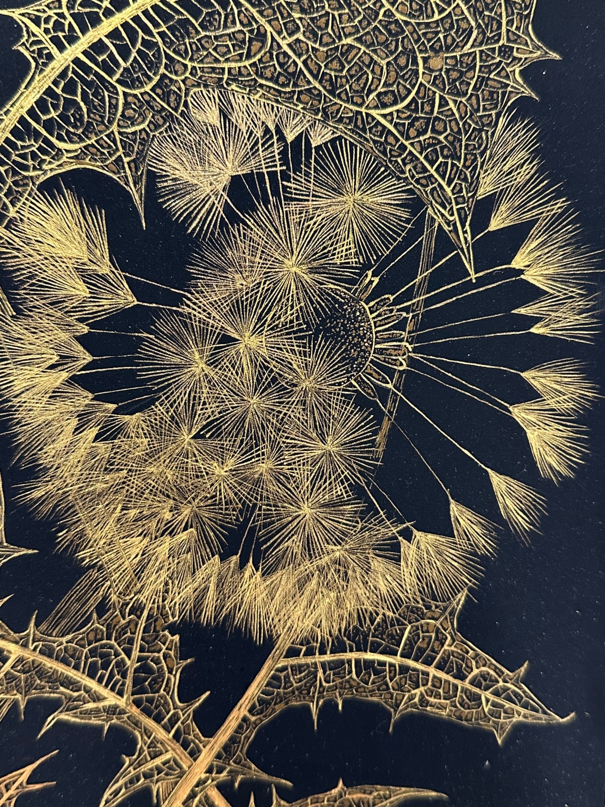 Margot Glass, Dandelions with Bud 1, 2024
