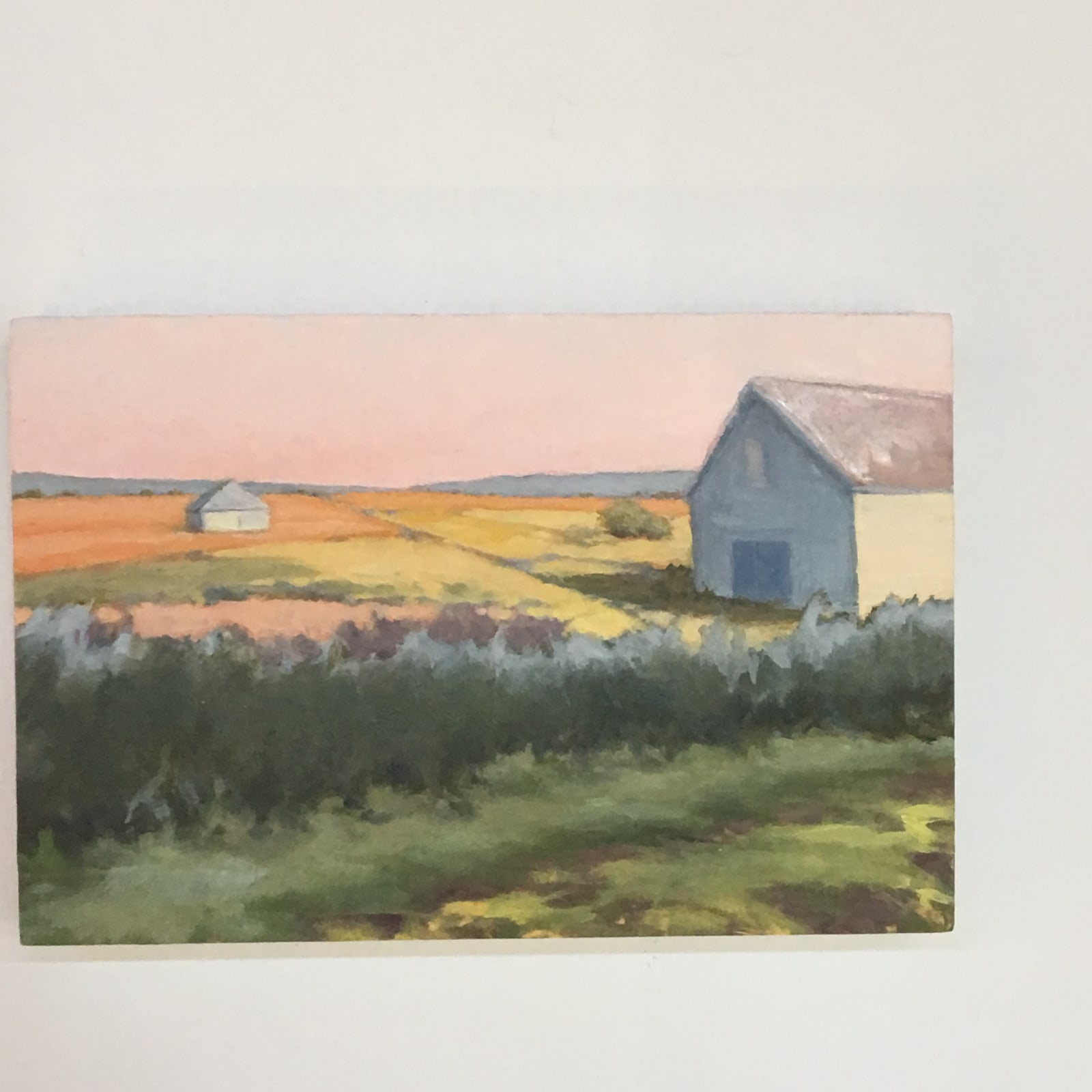 Sally Maca, Summer Fields, 2019