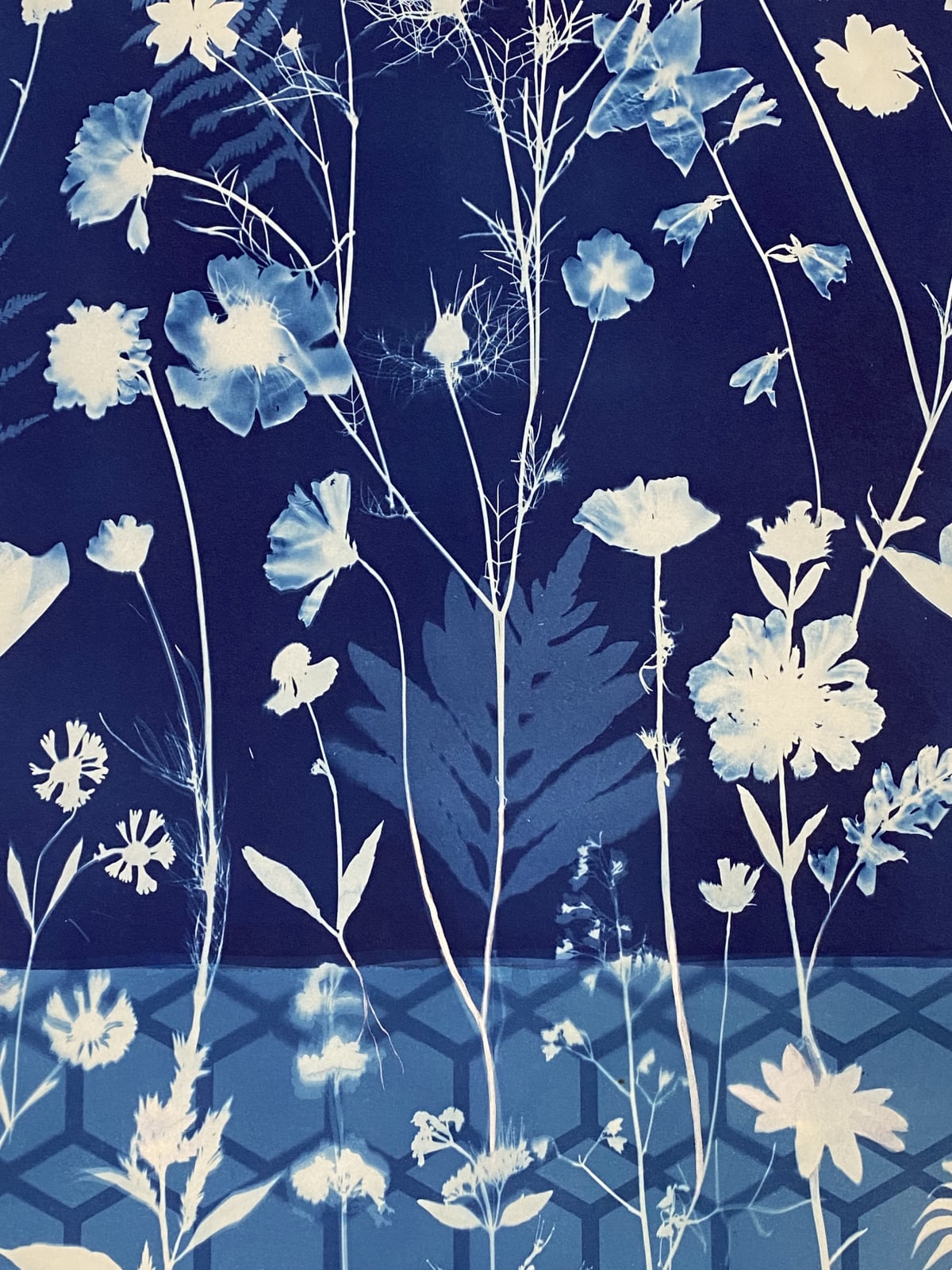 Julia Whitney Barnes, Cyanotype Painting (Crocus, Star Flower, Cosmos, Ferns, Diamond Hexagon Floor Pattern), 2021