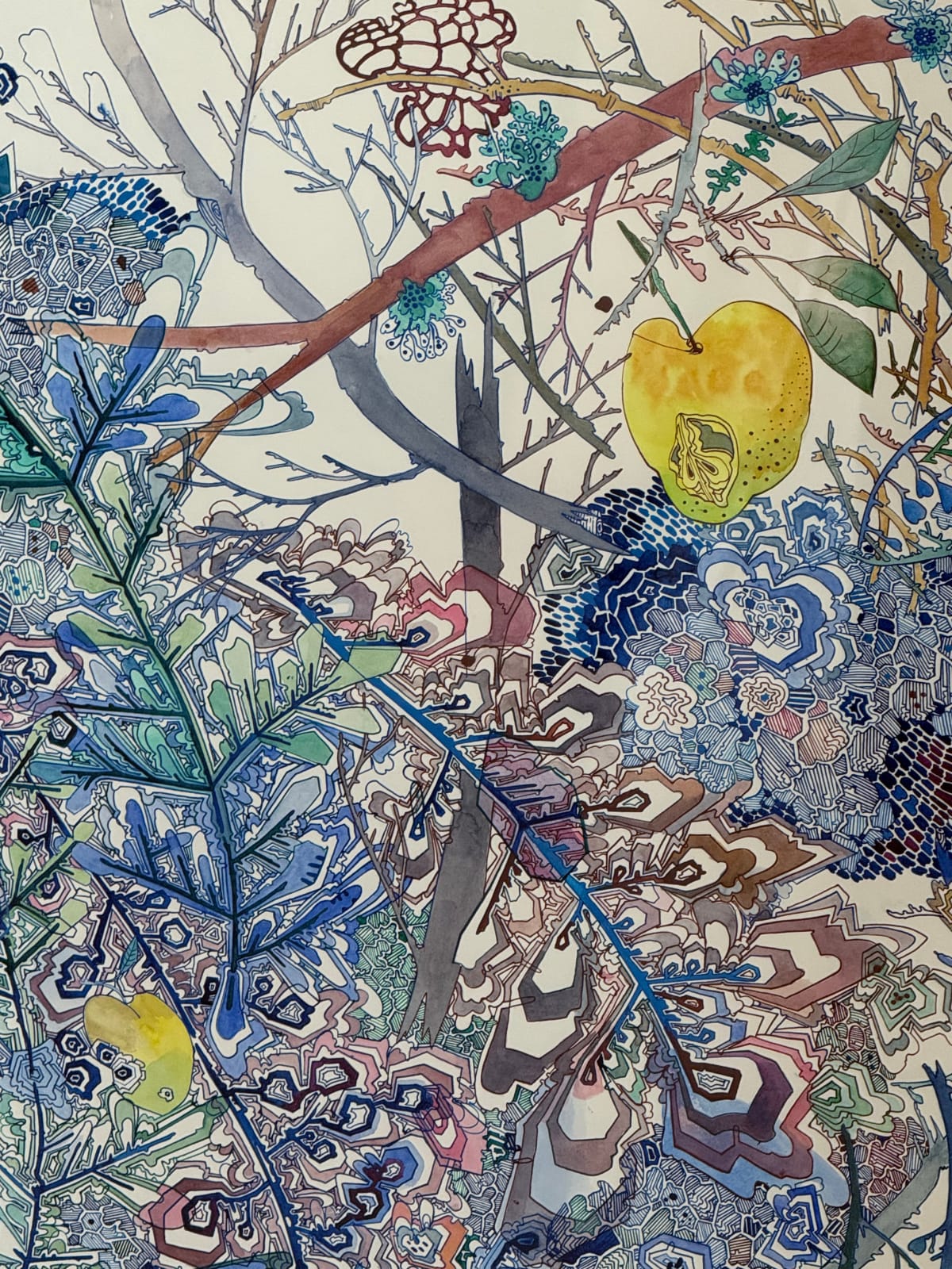 Sarah Morejohn, Apple in the Windfall, 2024