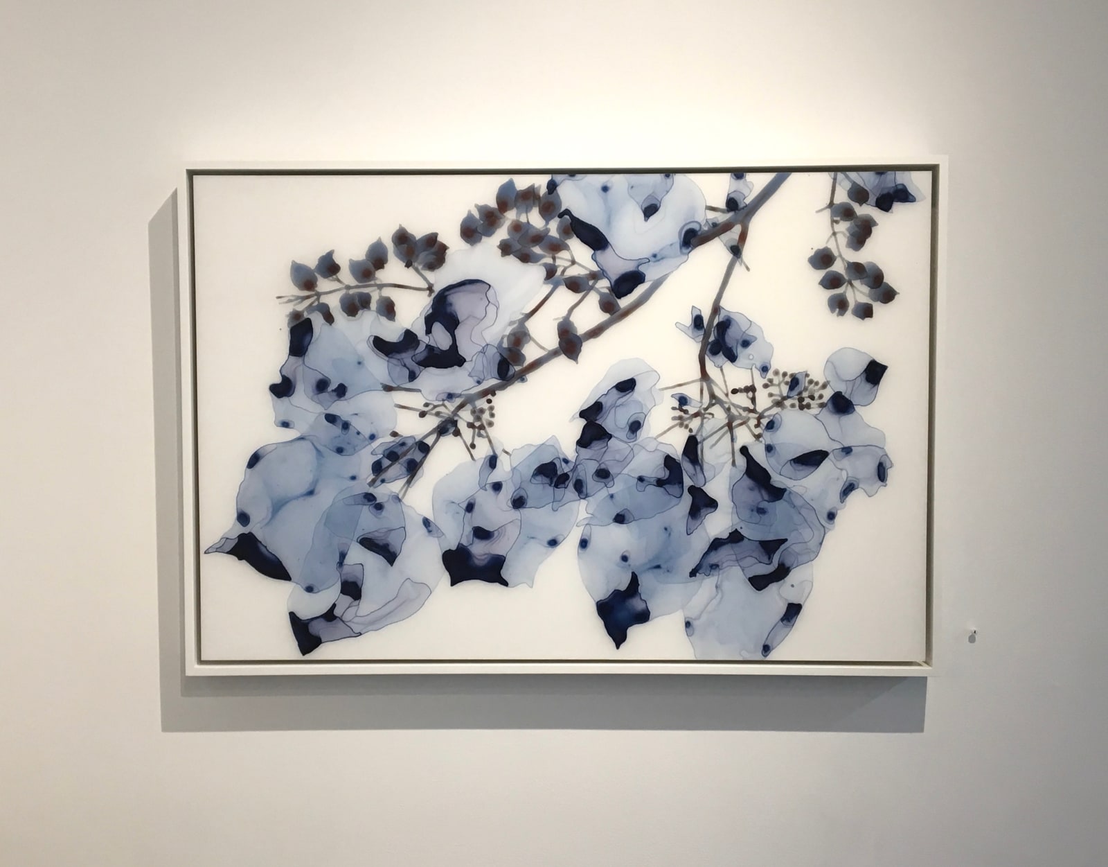 Jackie Battenfield, Blue Wash Cs1, 2018